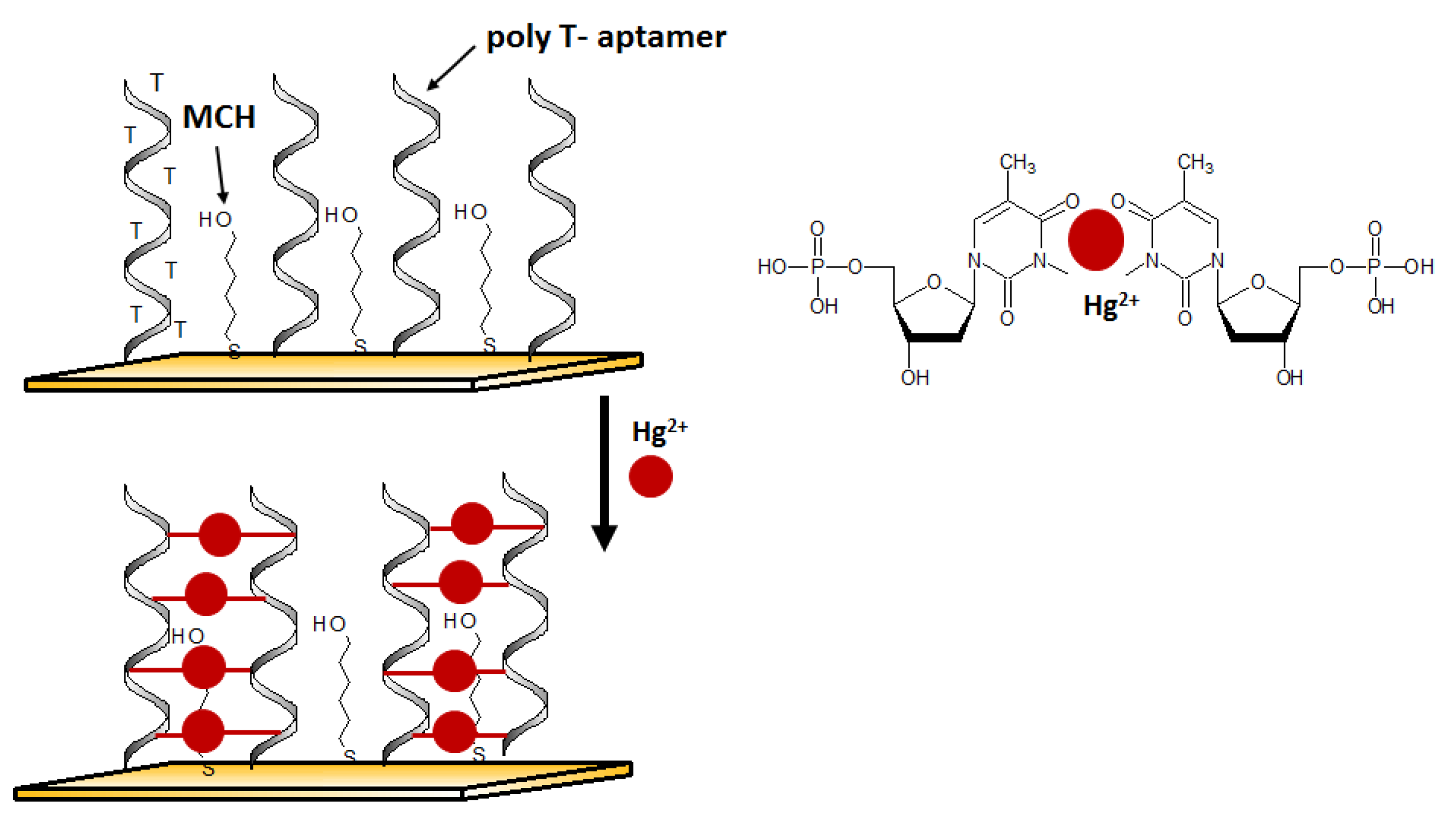 Molecules 27 07481 g005