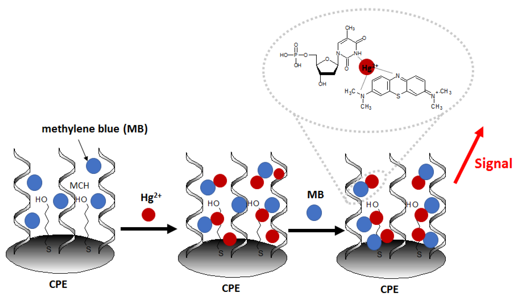 Molecules 27 07481 g008