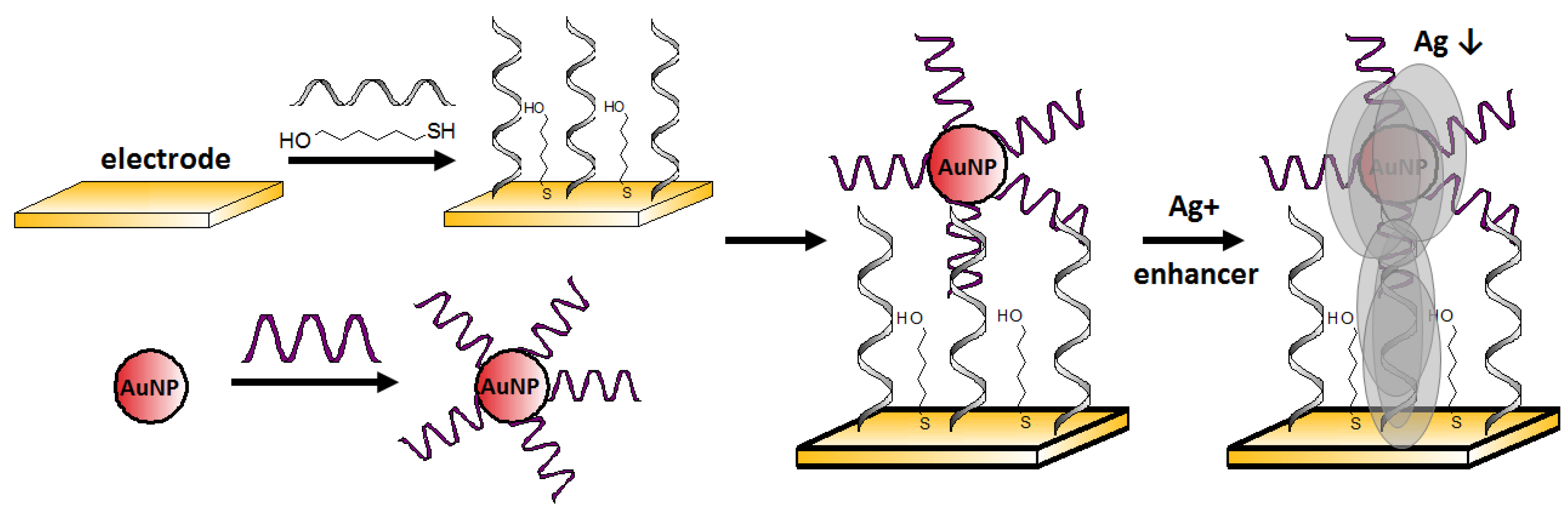 Molecules 27 07481 g013