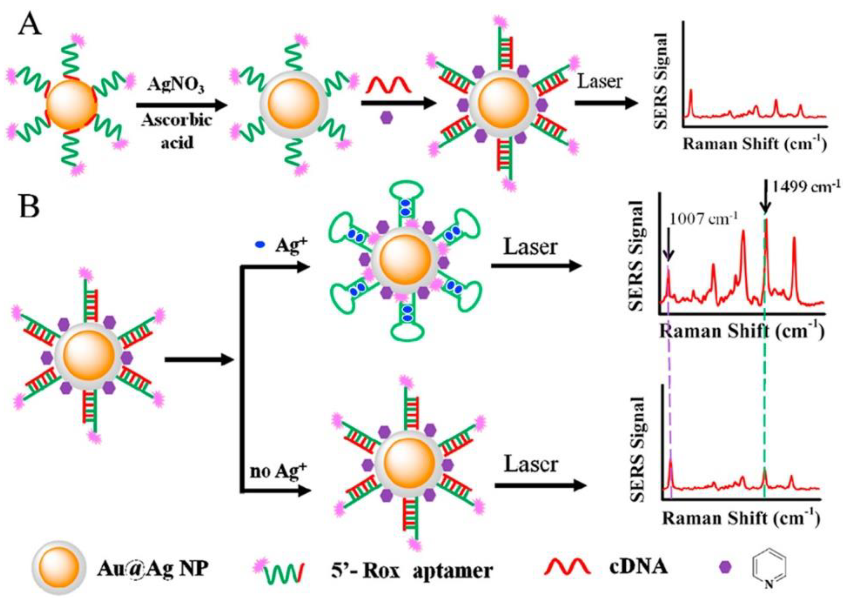 Molecules 27 07481 g017