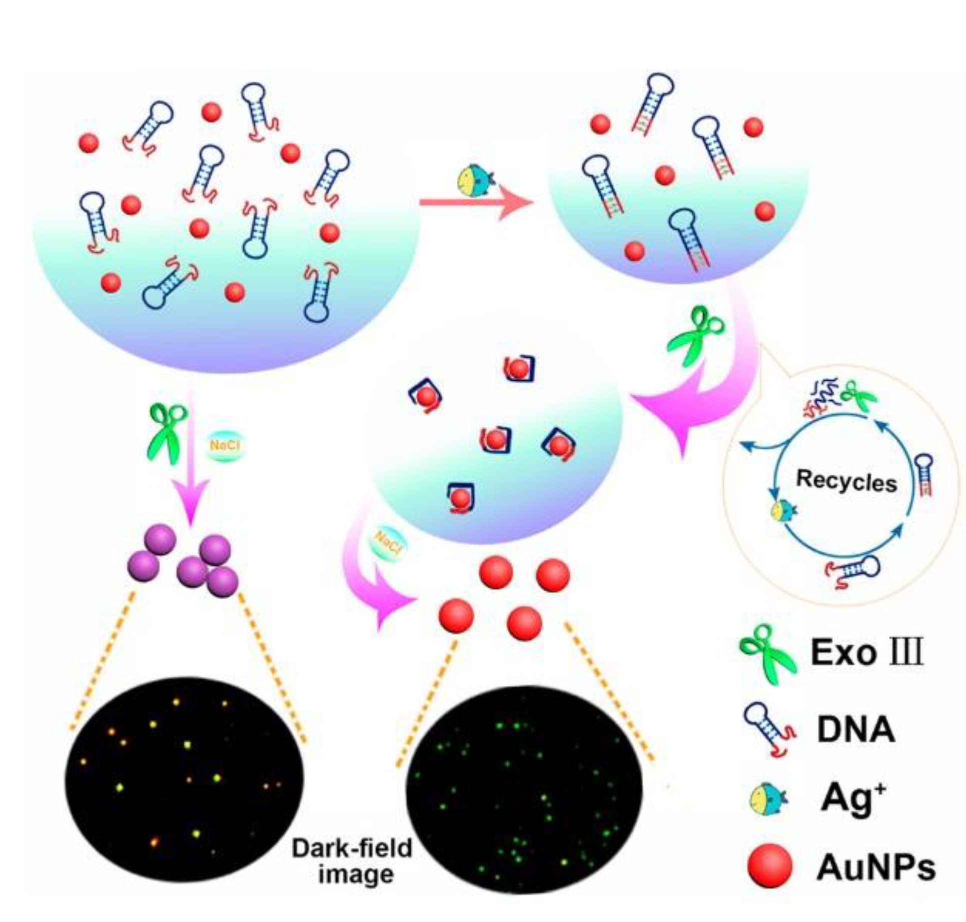 Molecules 27 07481 g018