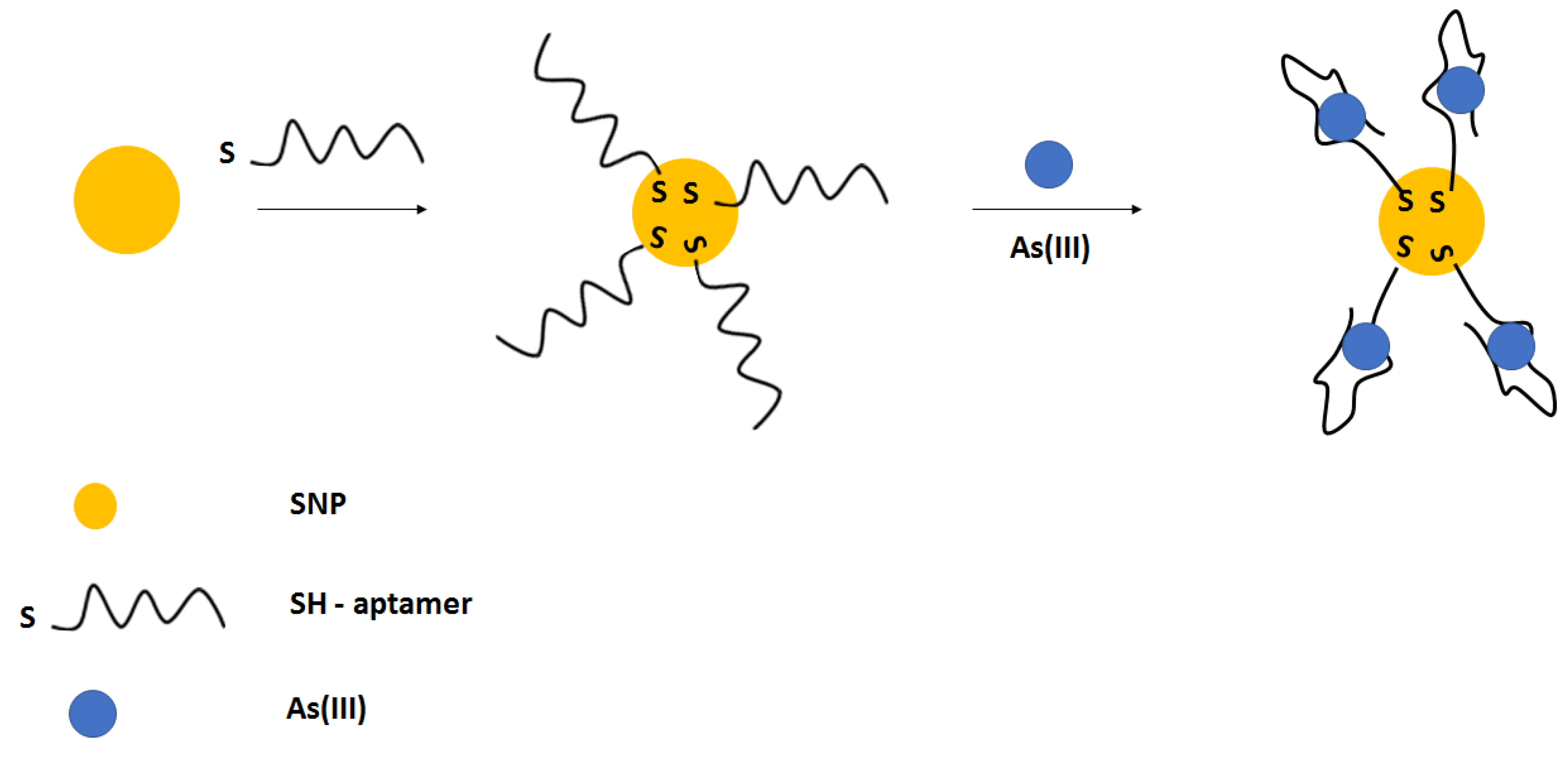 Molecules 27 07481 g028