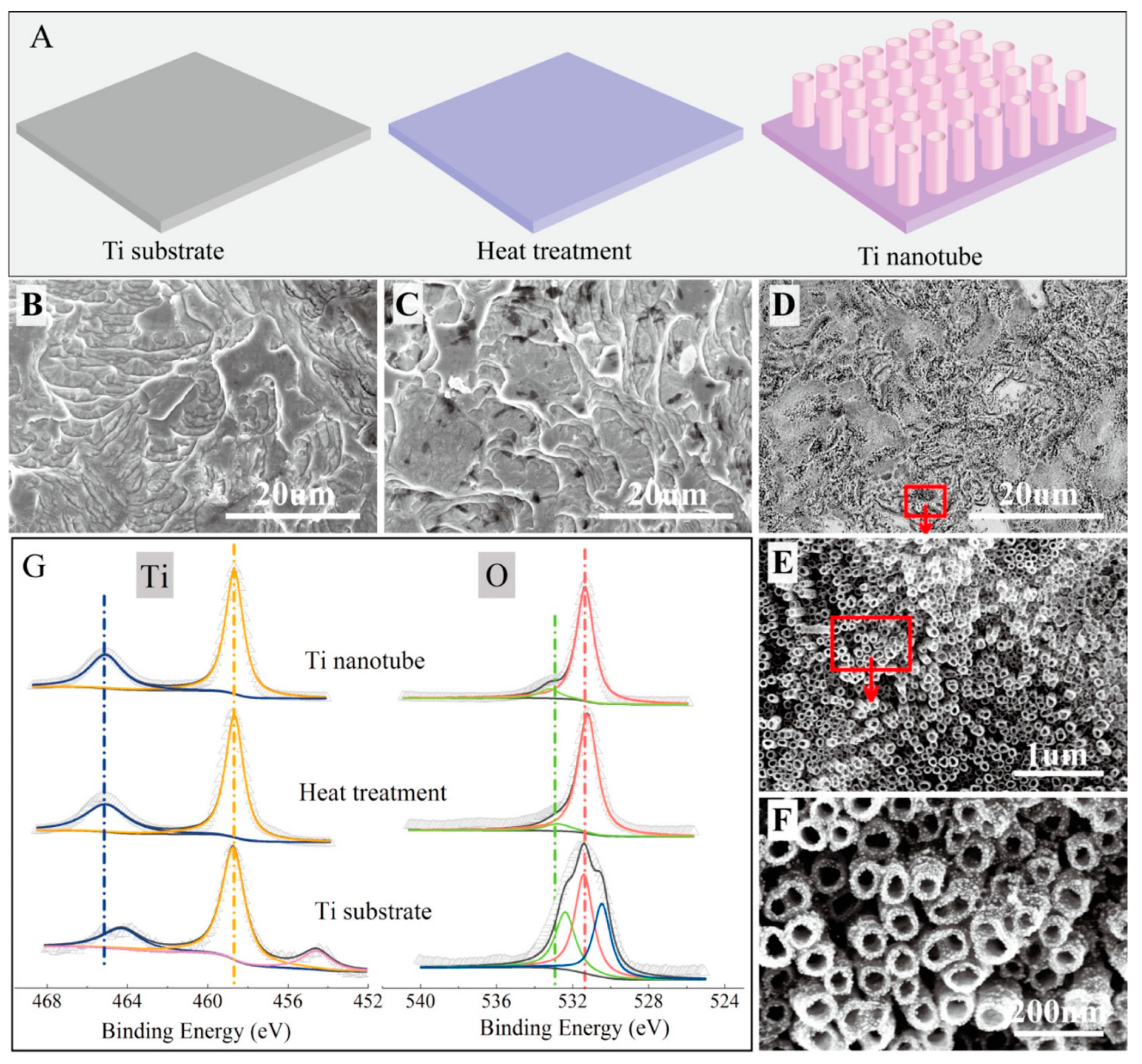 Molecules 27 07483 g005 Molecules 27 07483 g005