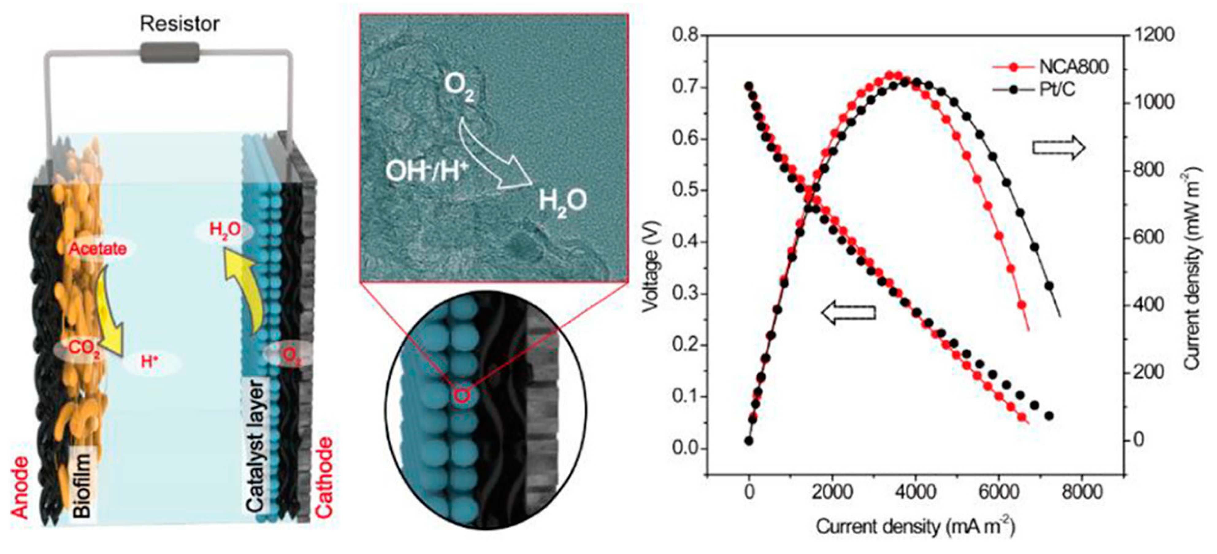 Molecules 27 07483 g007 Molecules 27 07483 g007