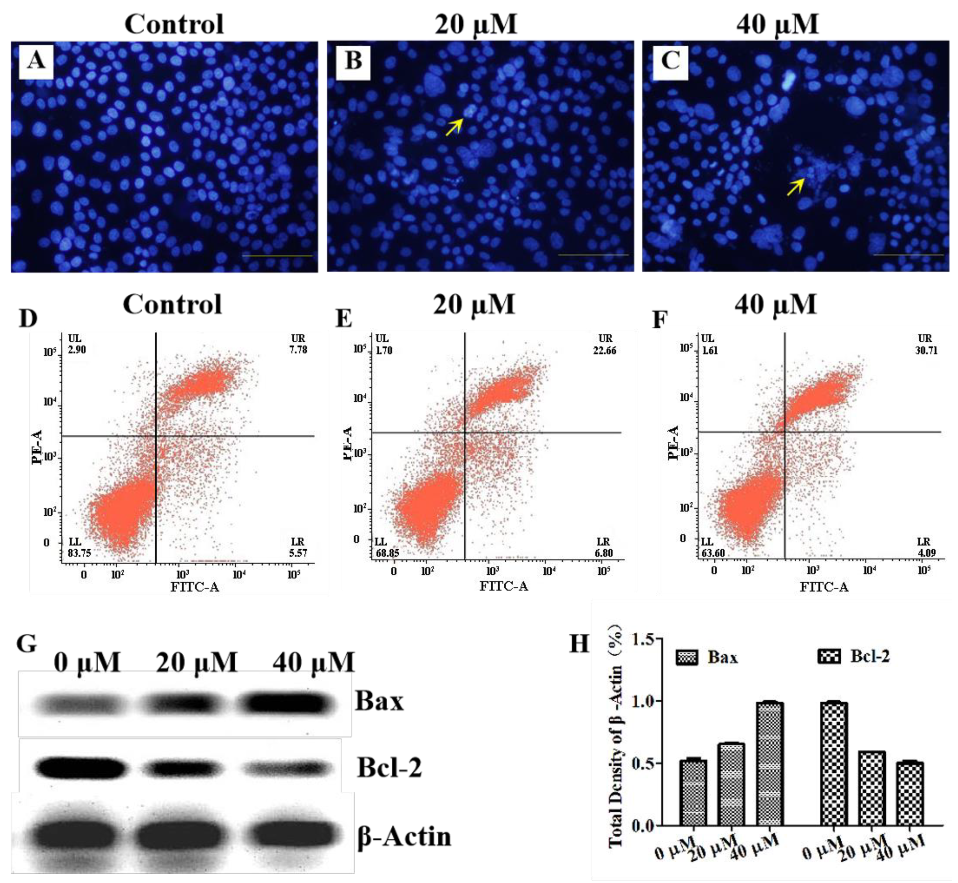 Molecules 27 07490 g002 Molecules 27 07490 g002