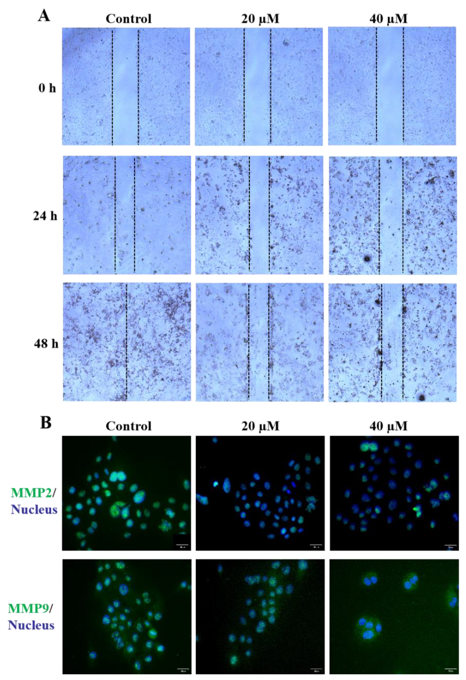 Molecules 27 07490 g003 Molecules 27 07490 g003