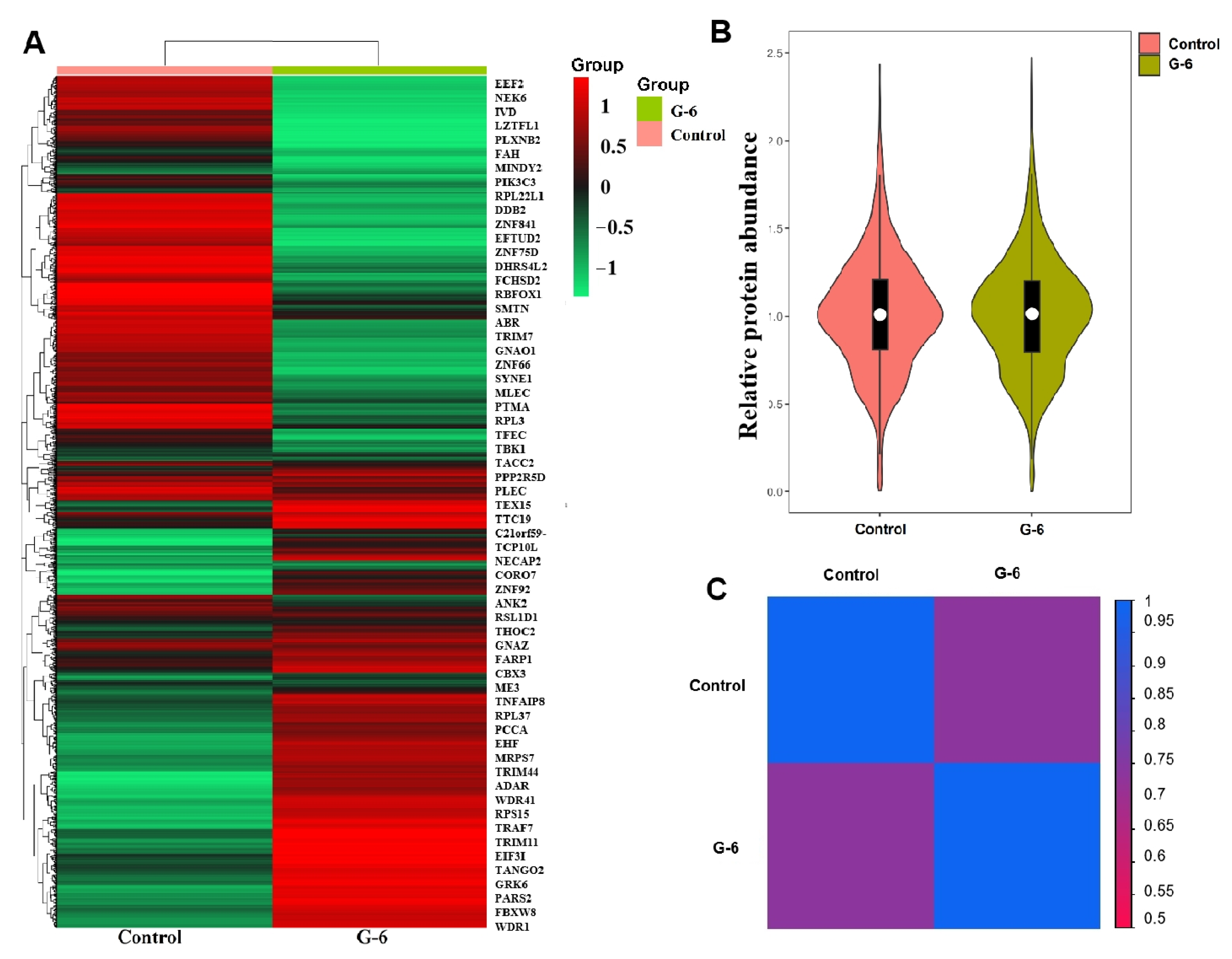 Molecules 27 07490 g004 Molecules 27 07490 g004