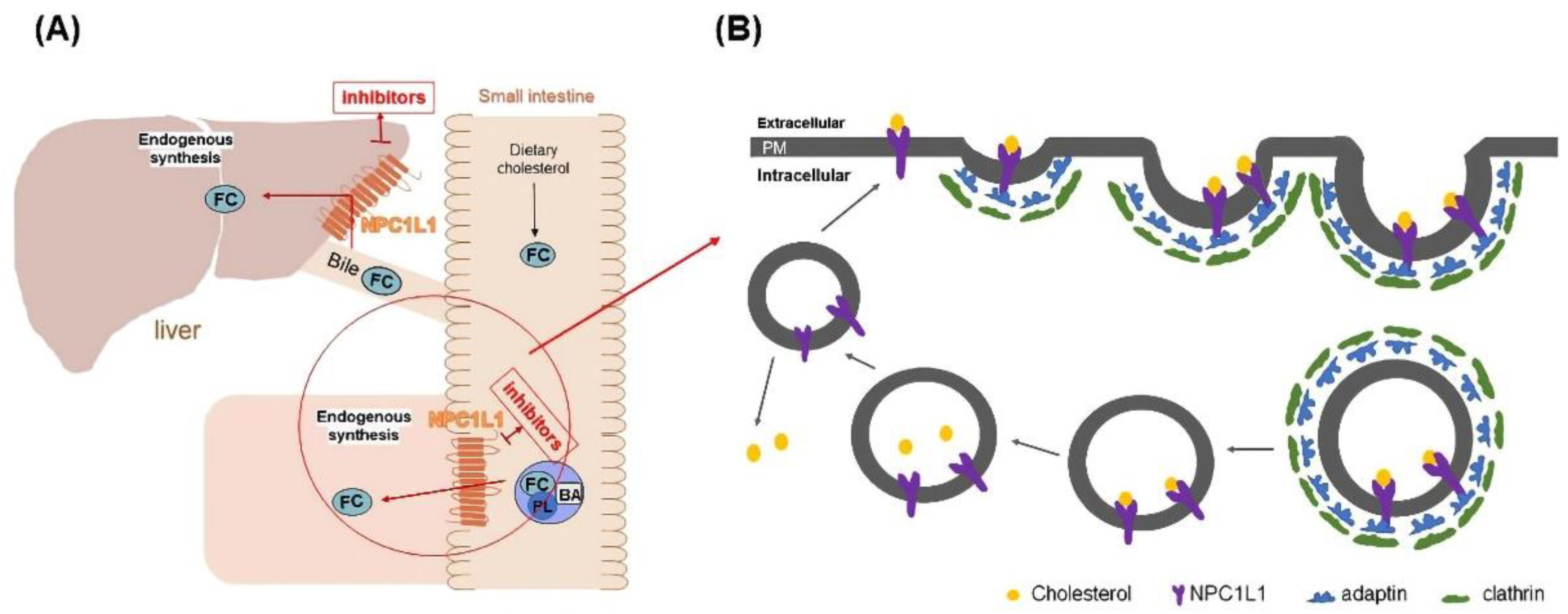 Molecules 27 07494 g001
