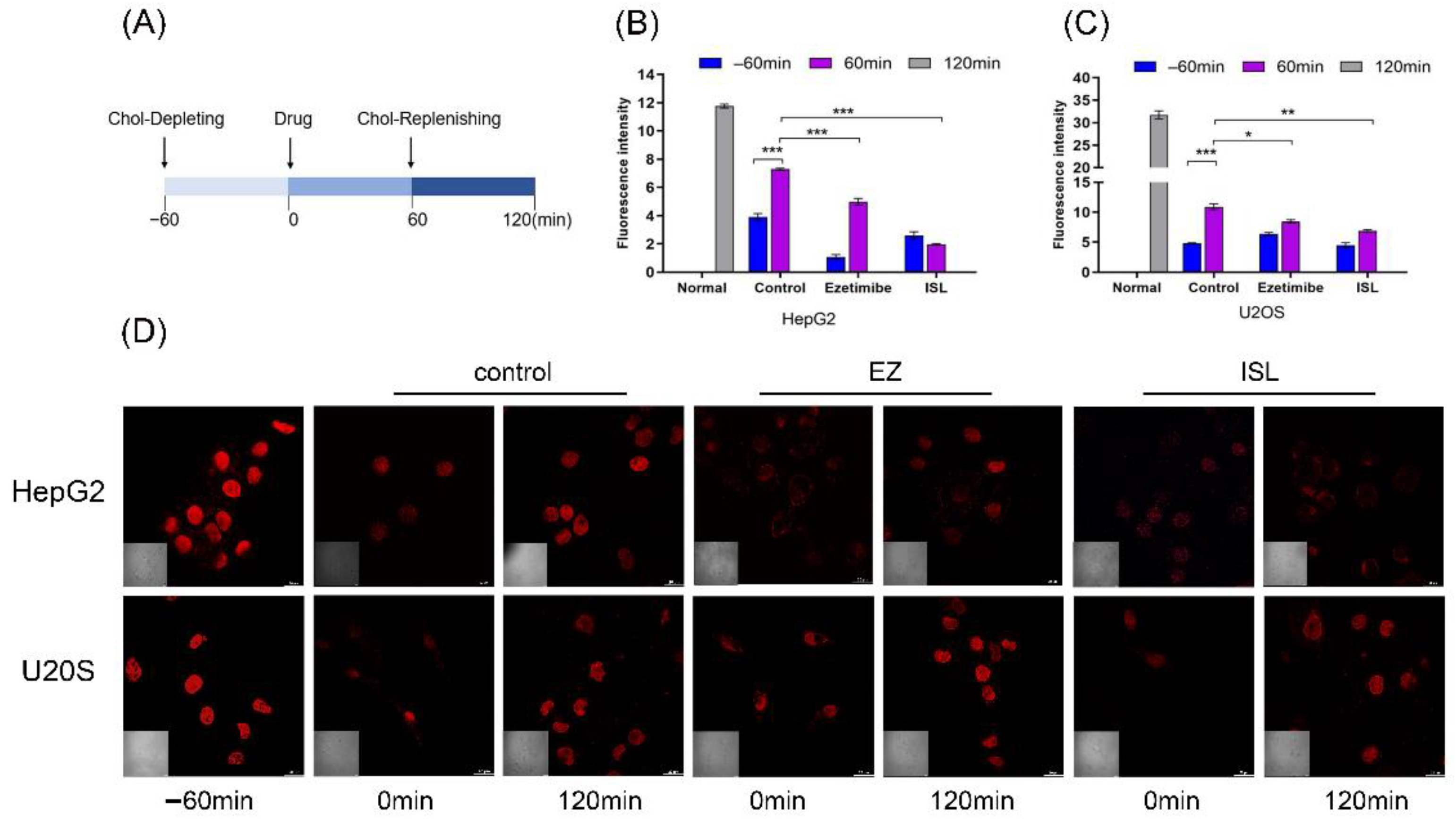 Molecules 27 07494 g005