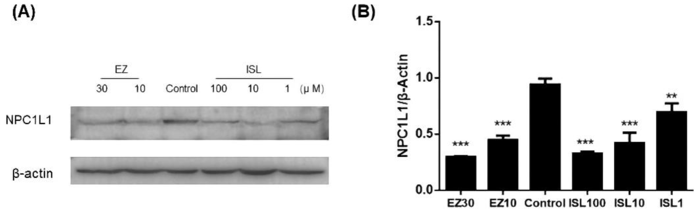 Molecules 27 07494 g008