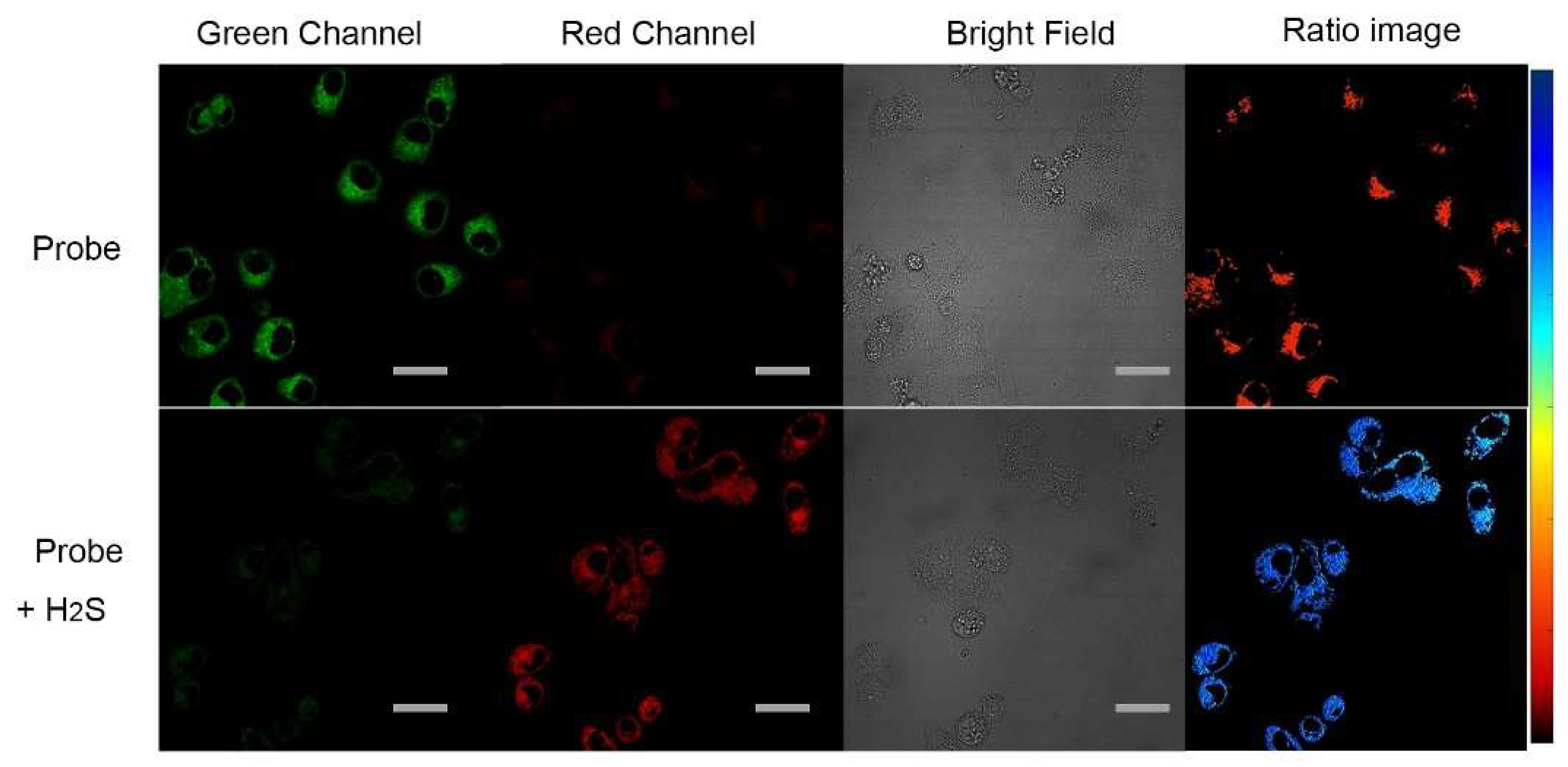 Molecules 27 07499 g006