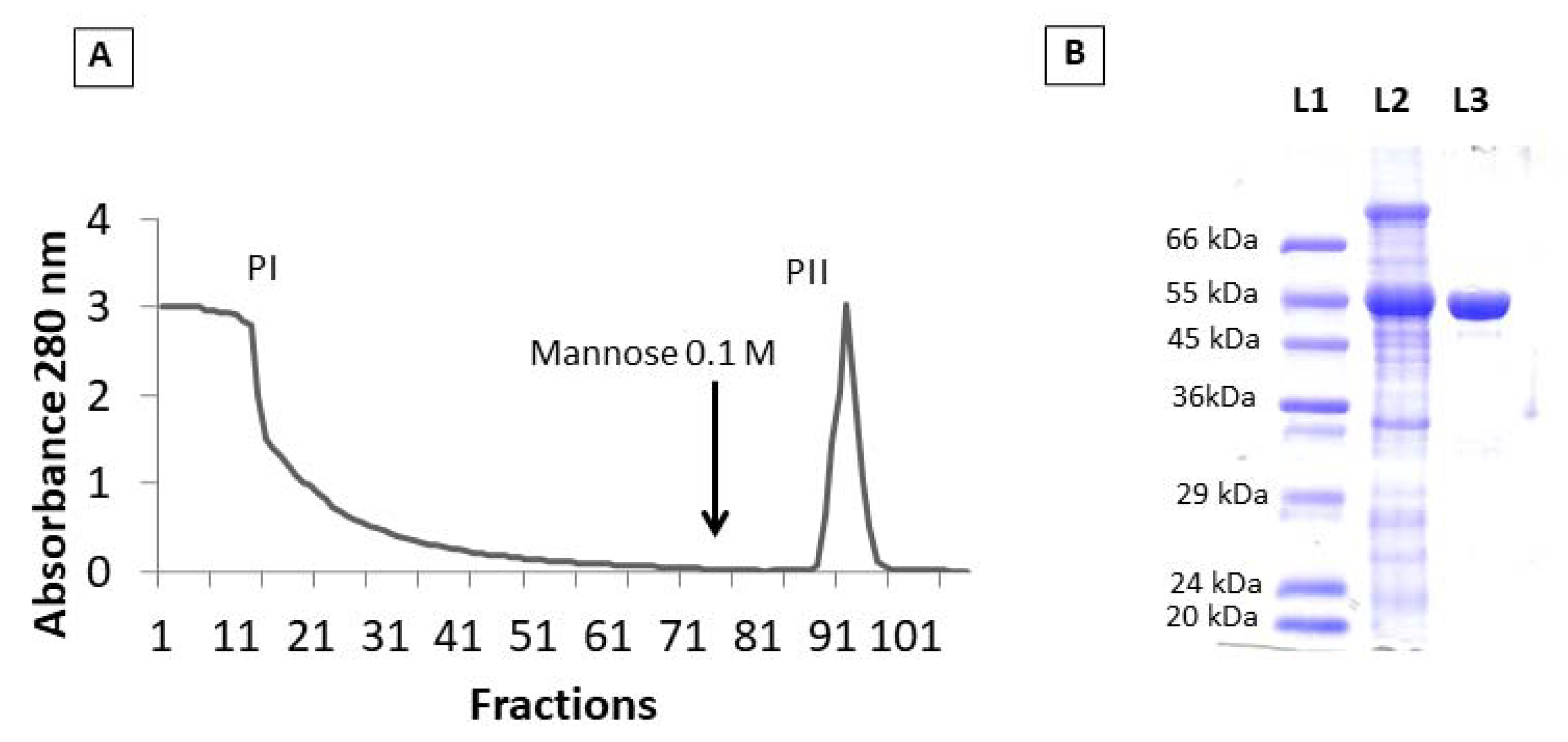 Molecules 27 07506 g001 Molecules 27 07506 g001