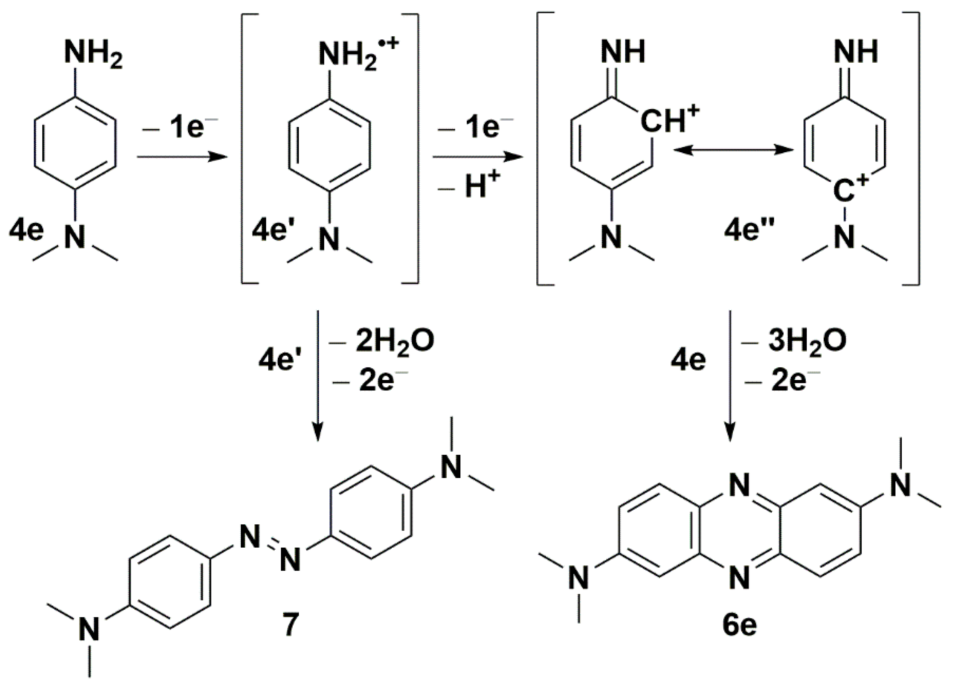 Molecules 27 07519 sch005 Molecules 27 07519 sch005