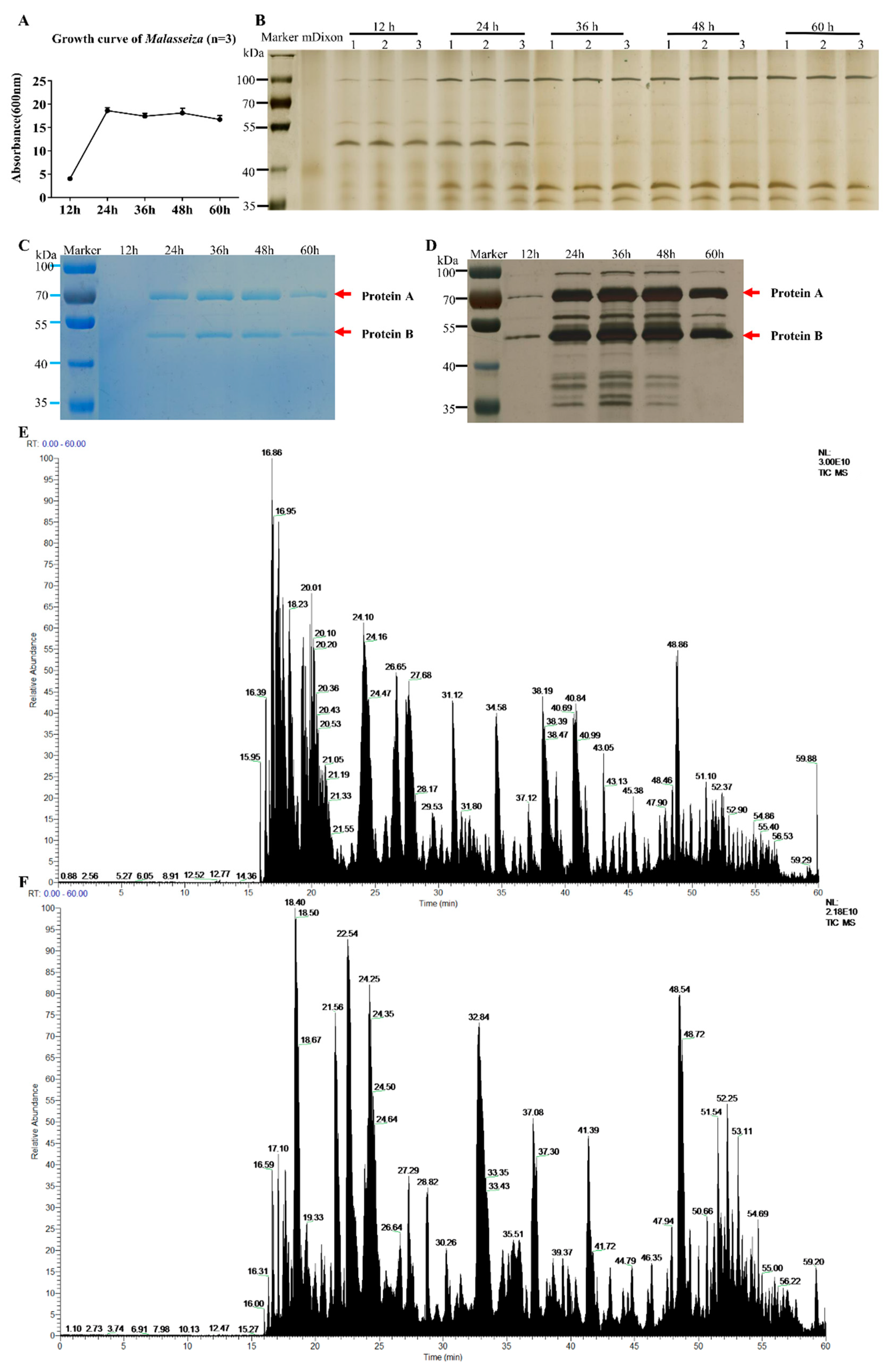 Molecules 27 07520 g001 Molecules 27 07520 g001