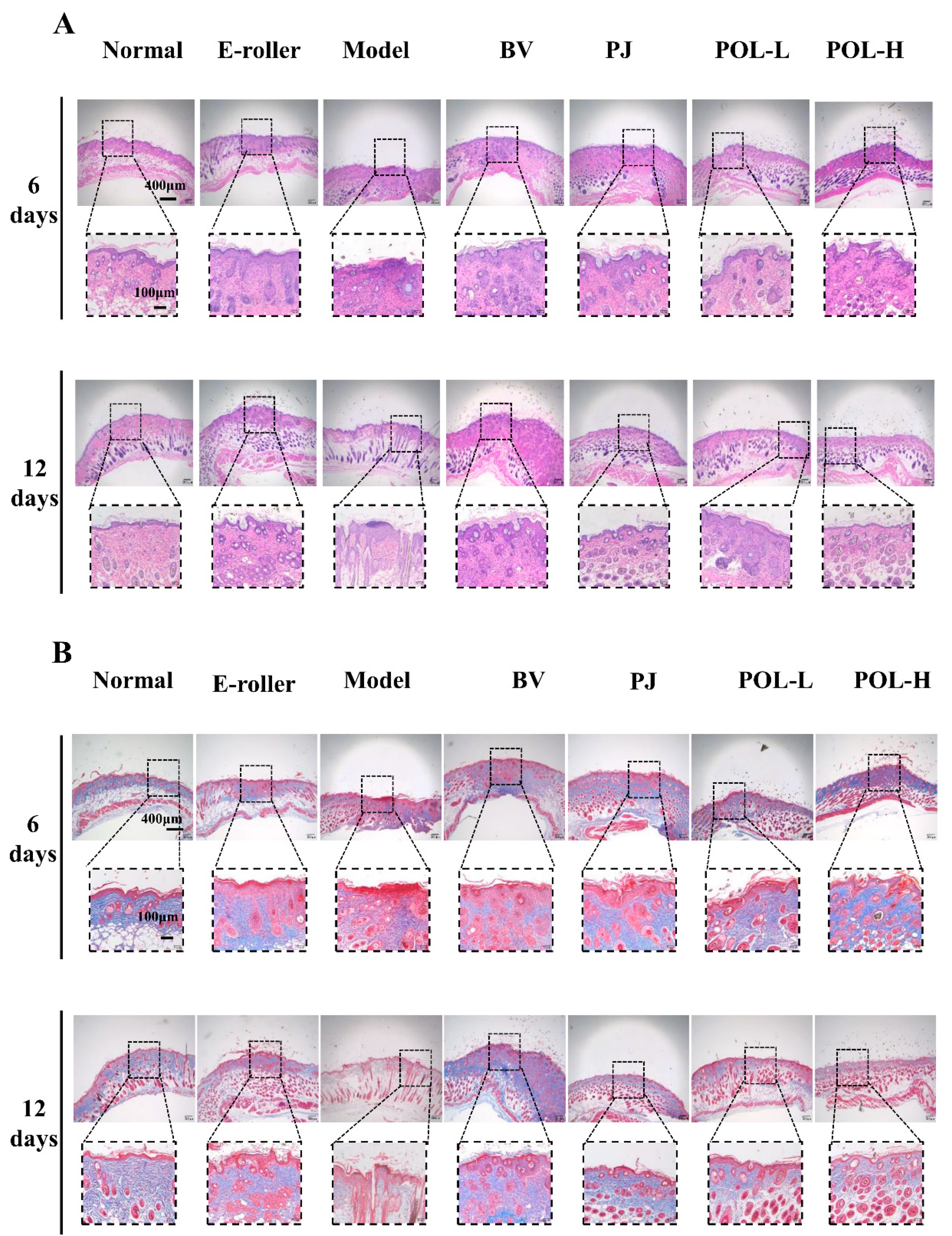 Molecules 27 07520 g003 Molecules 27 07520 g003