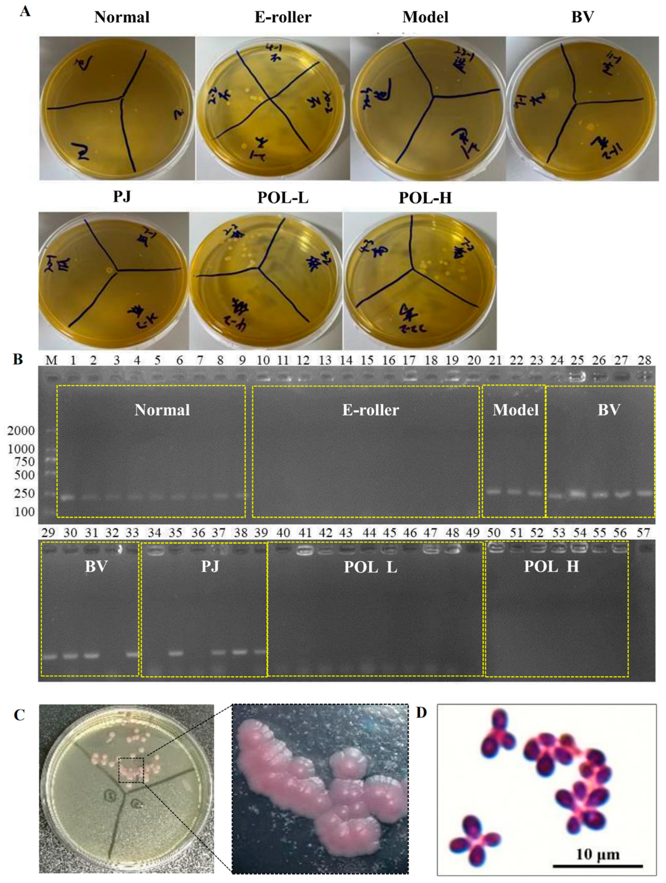 Molecules 27 07520 g004 Molecules 27 07520 g004