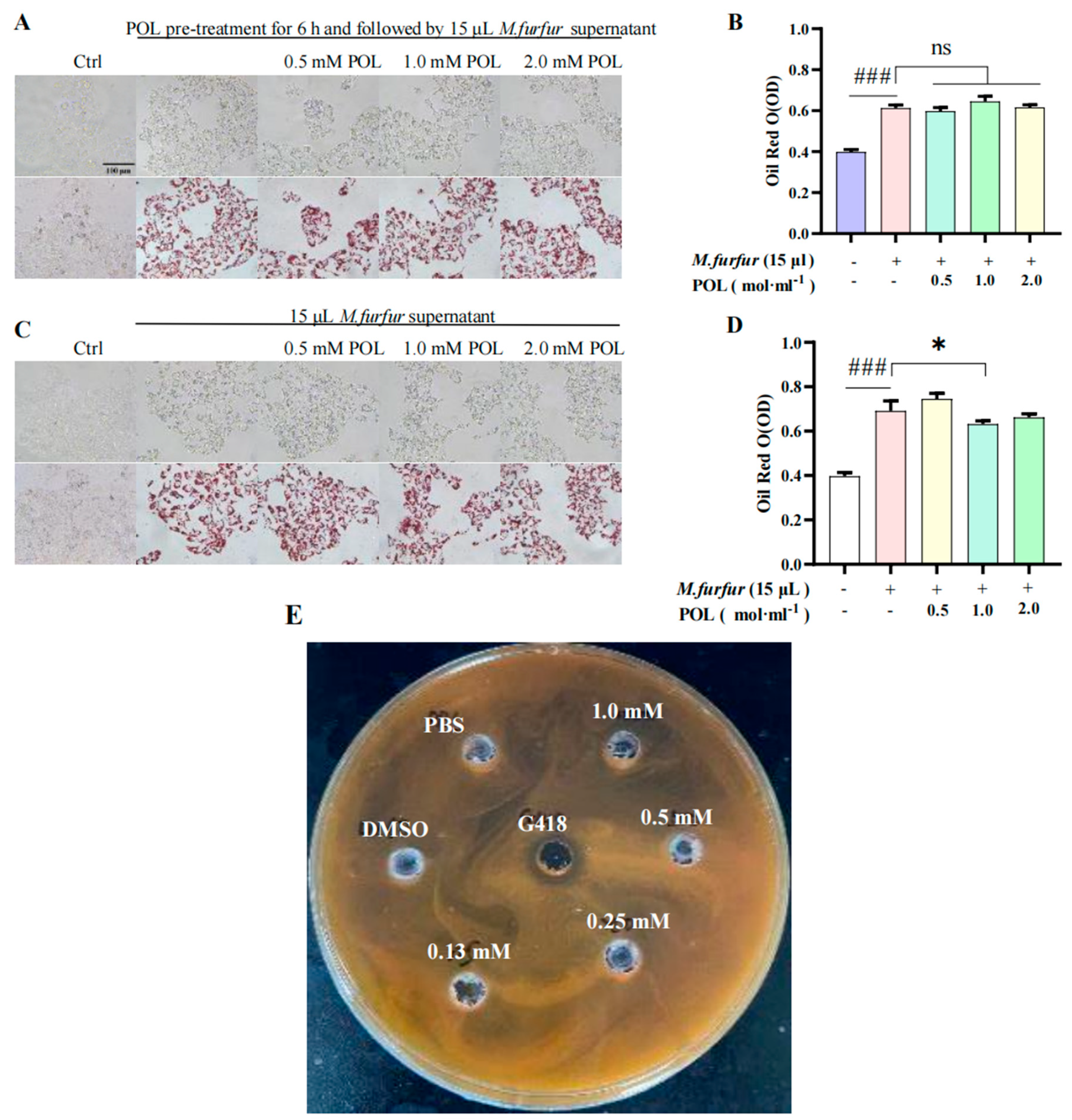 Molecules 27 07520 g005 Molecules 27 07520 g005