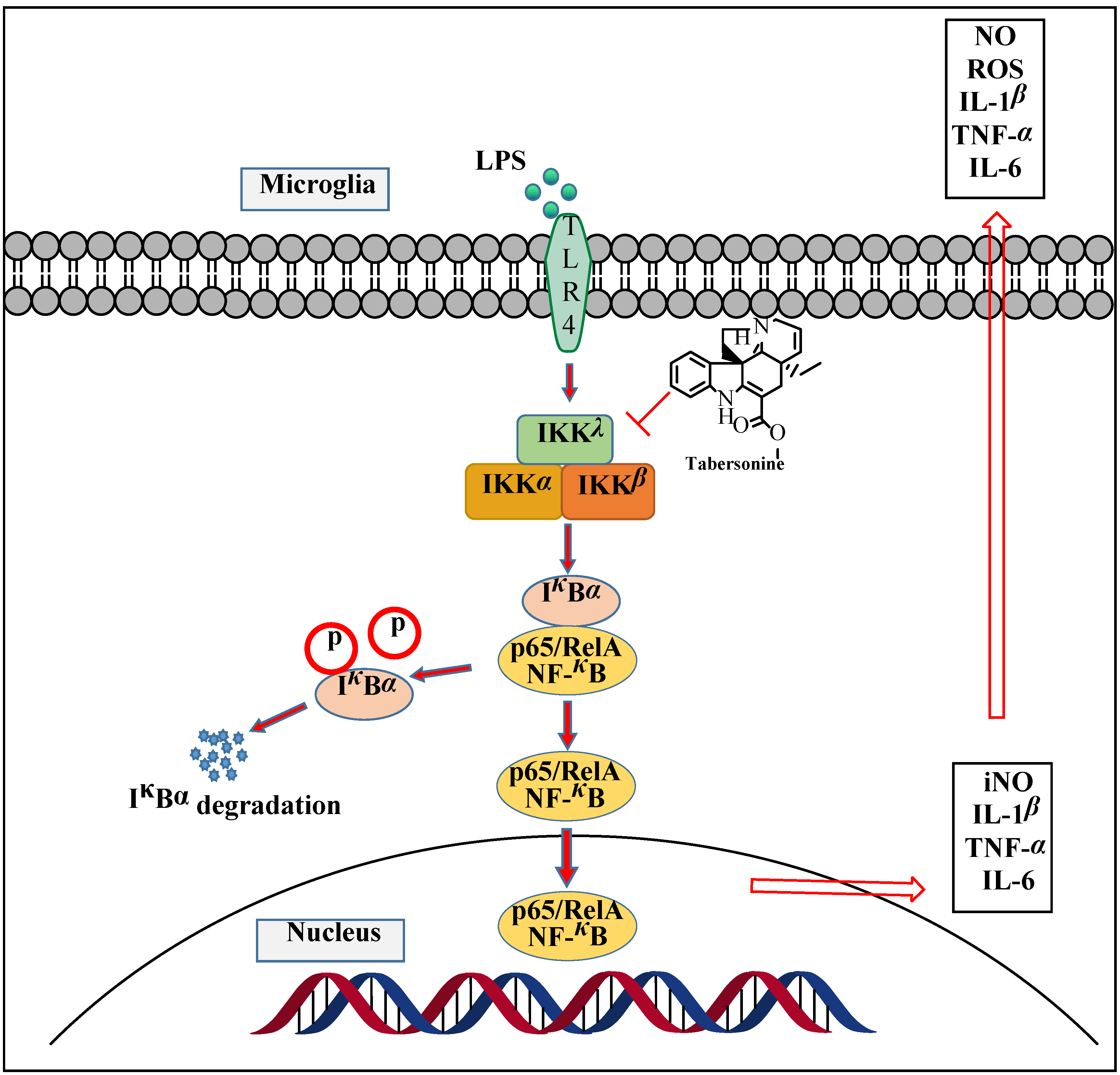 Molecules 27 07521 g006 Molecules 27 07521 g006