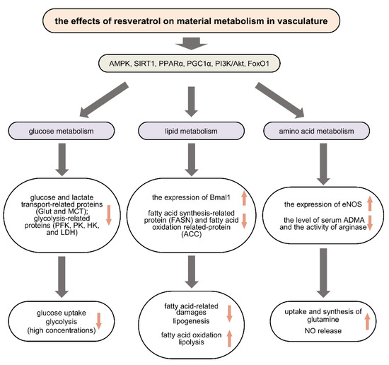 Progress in the Preclinical and Clinical Study of Resveratrol for ...