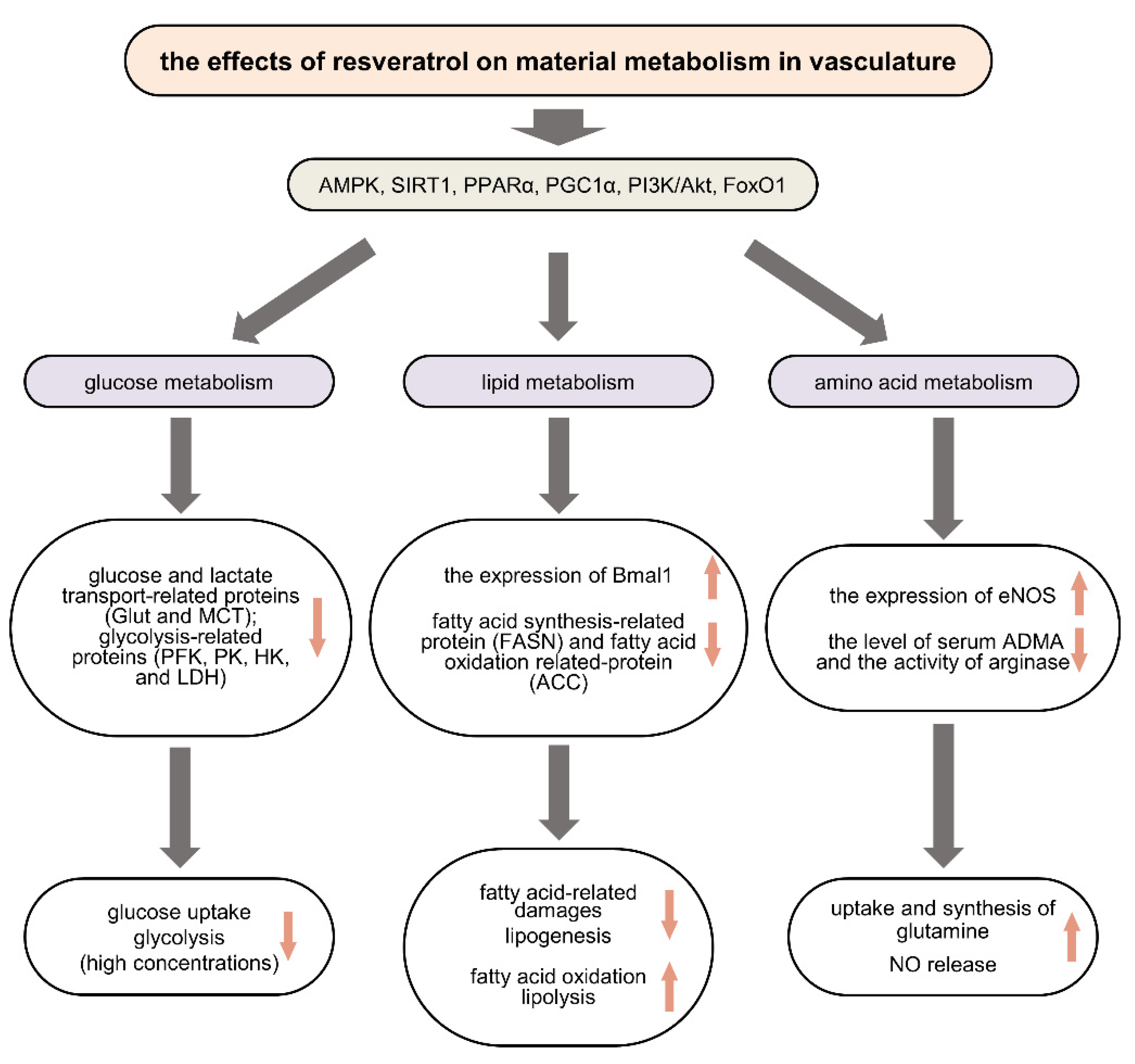 Molecules 27 07524 g001 Molecules 27 07524 g001