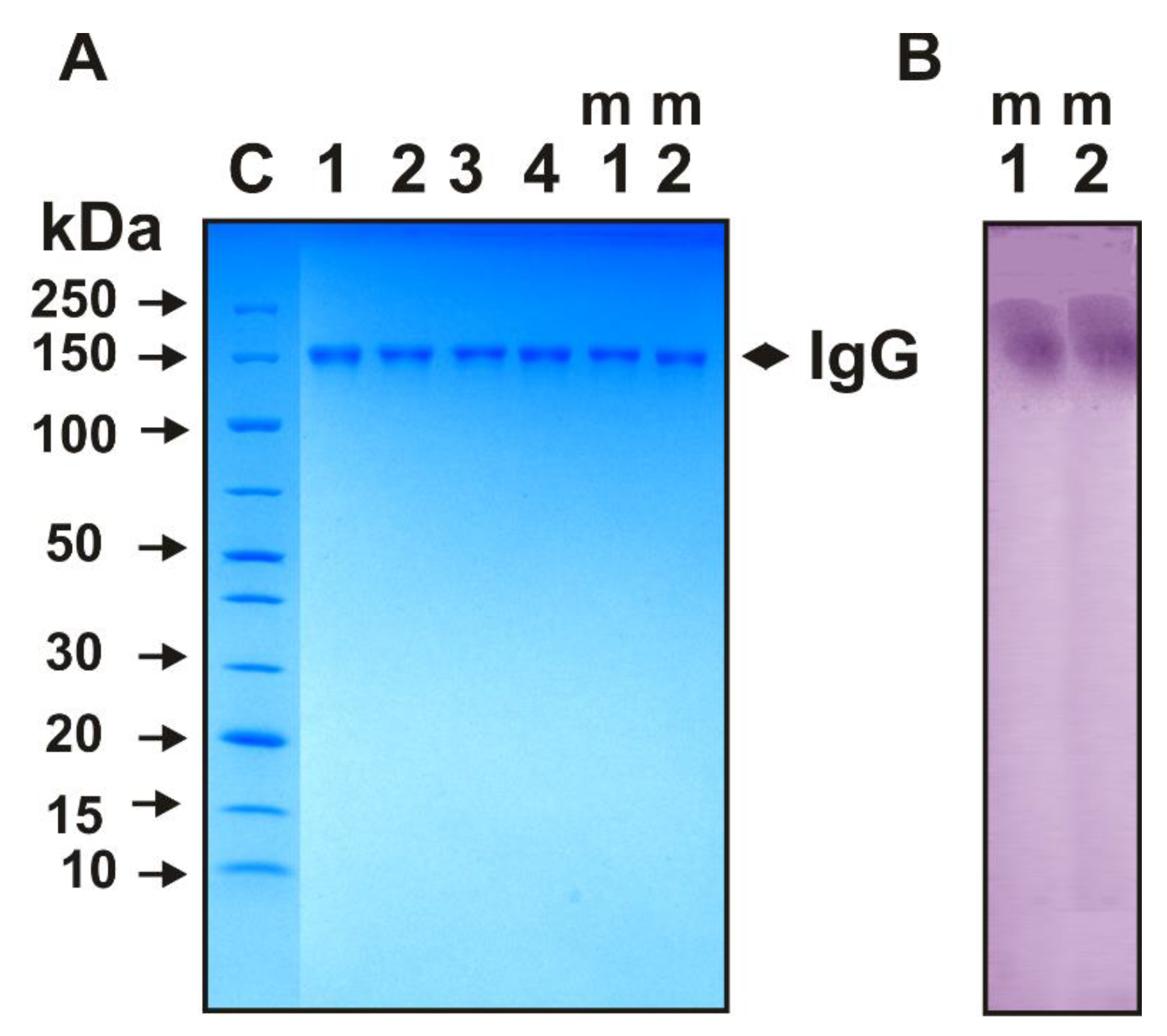Molecules 27 07527 g001 Molecules 27 07527 g001