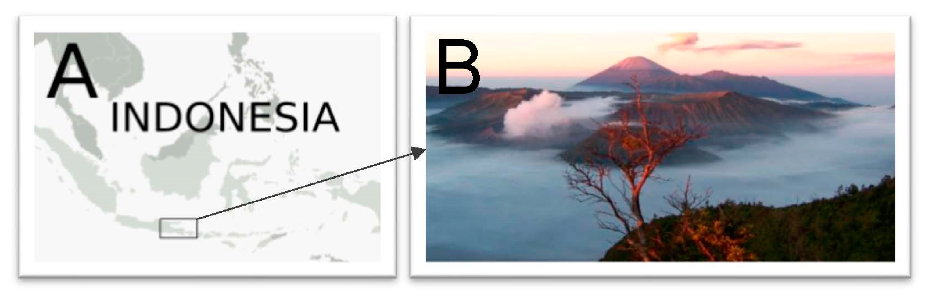 Molecules 27 07532 g001 Molecules 27 07532 g001