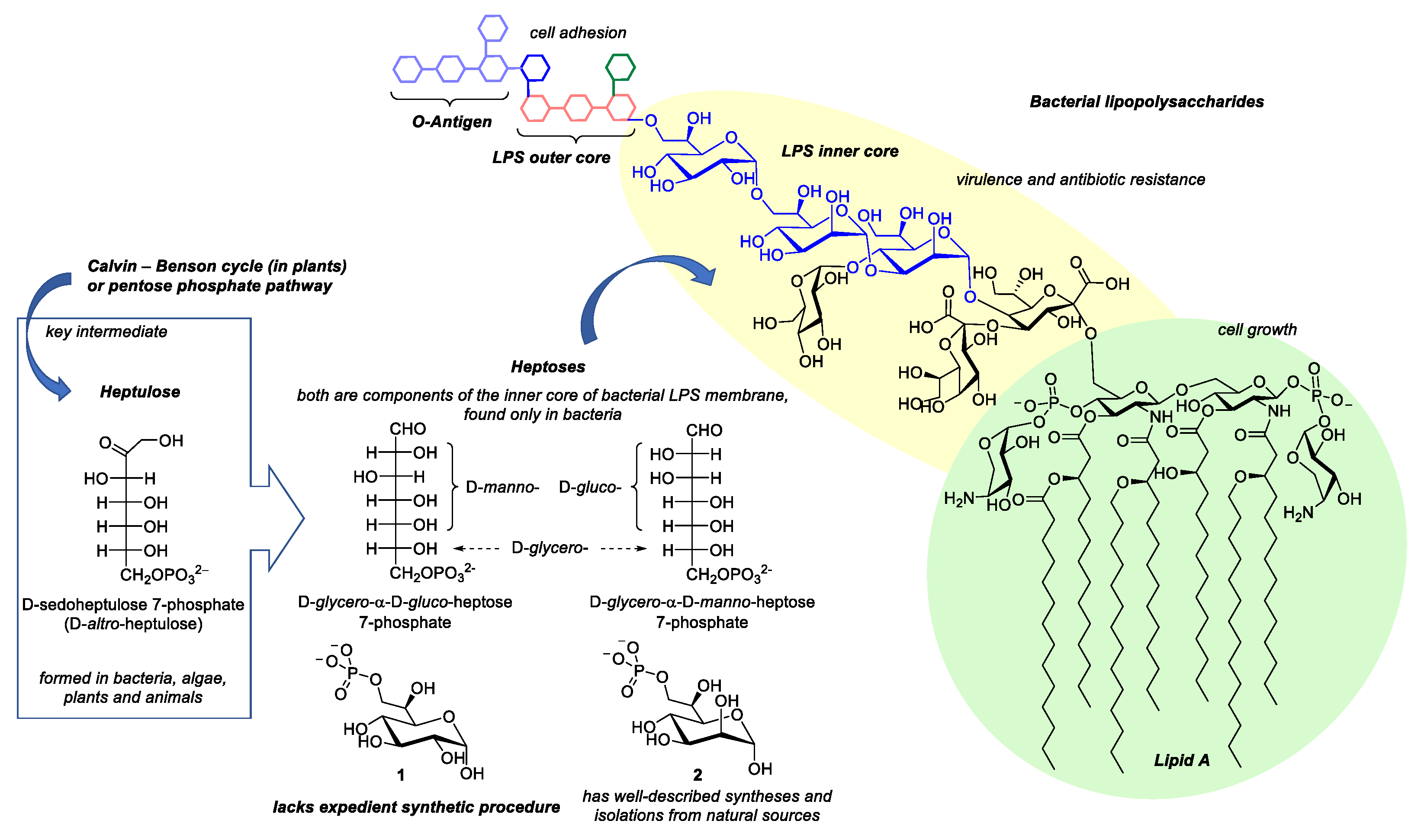 Molecules 27 07534 g001 Molecules 27 07534 g001