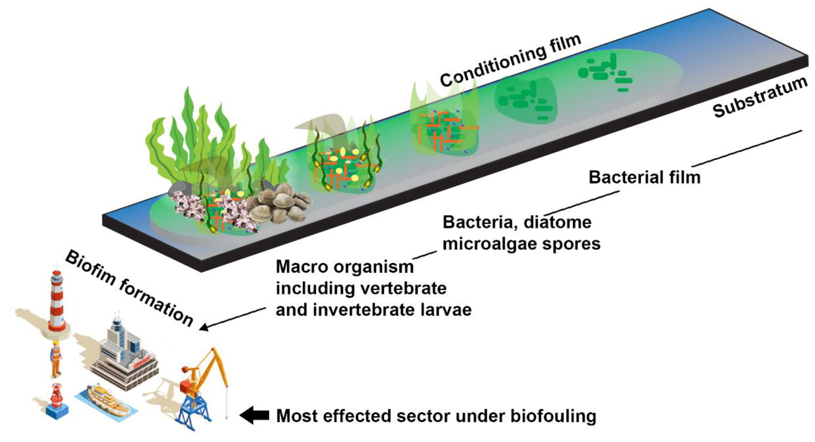 Molecules 27 07546 g002 Molecules 27 07546 g002