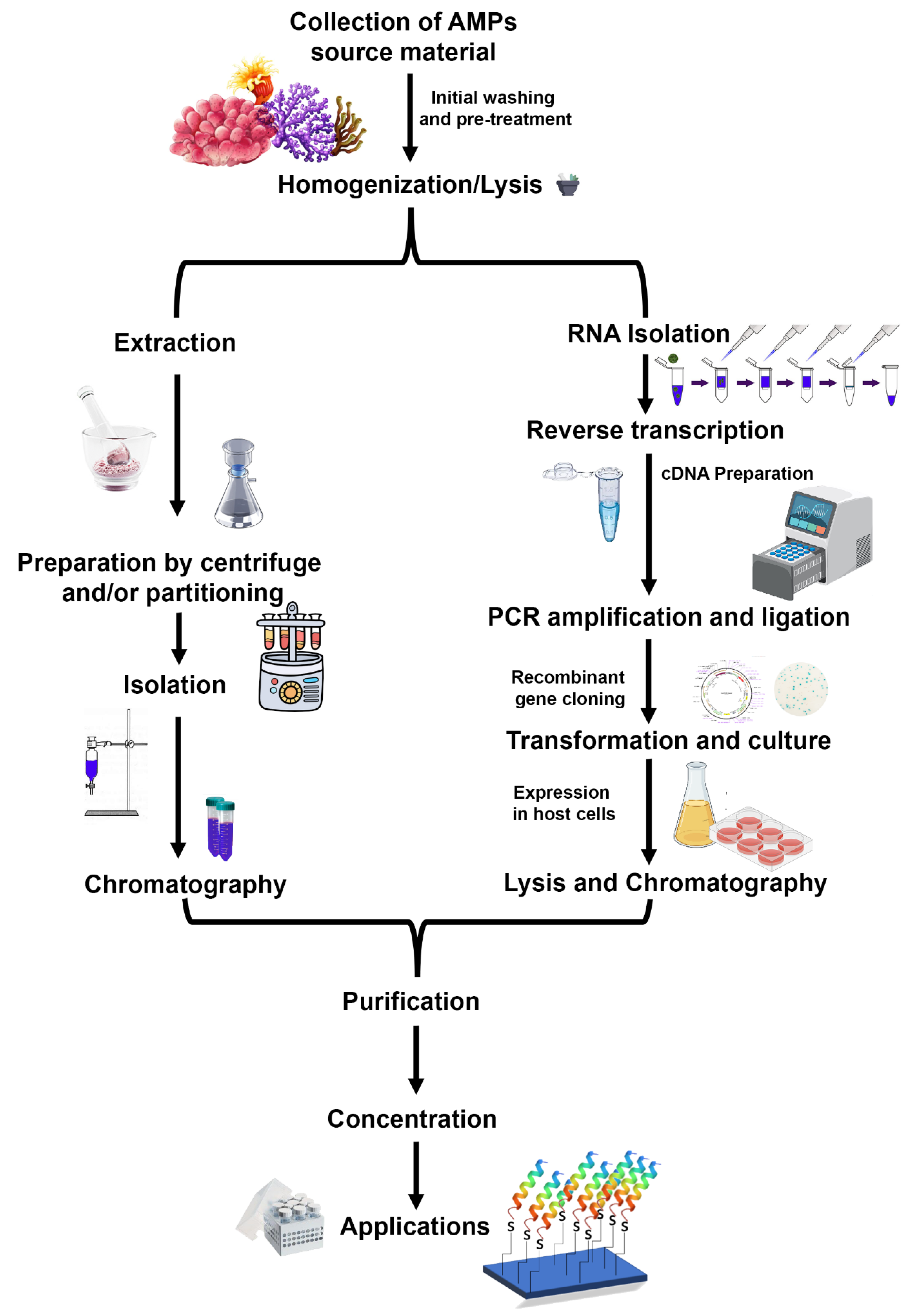 Molecules 27 07546 g005 Molecules 27 07546 g005