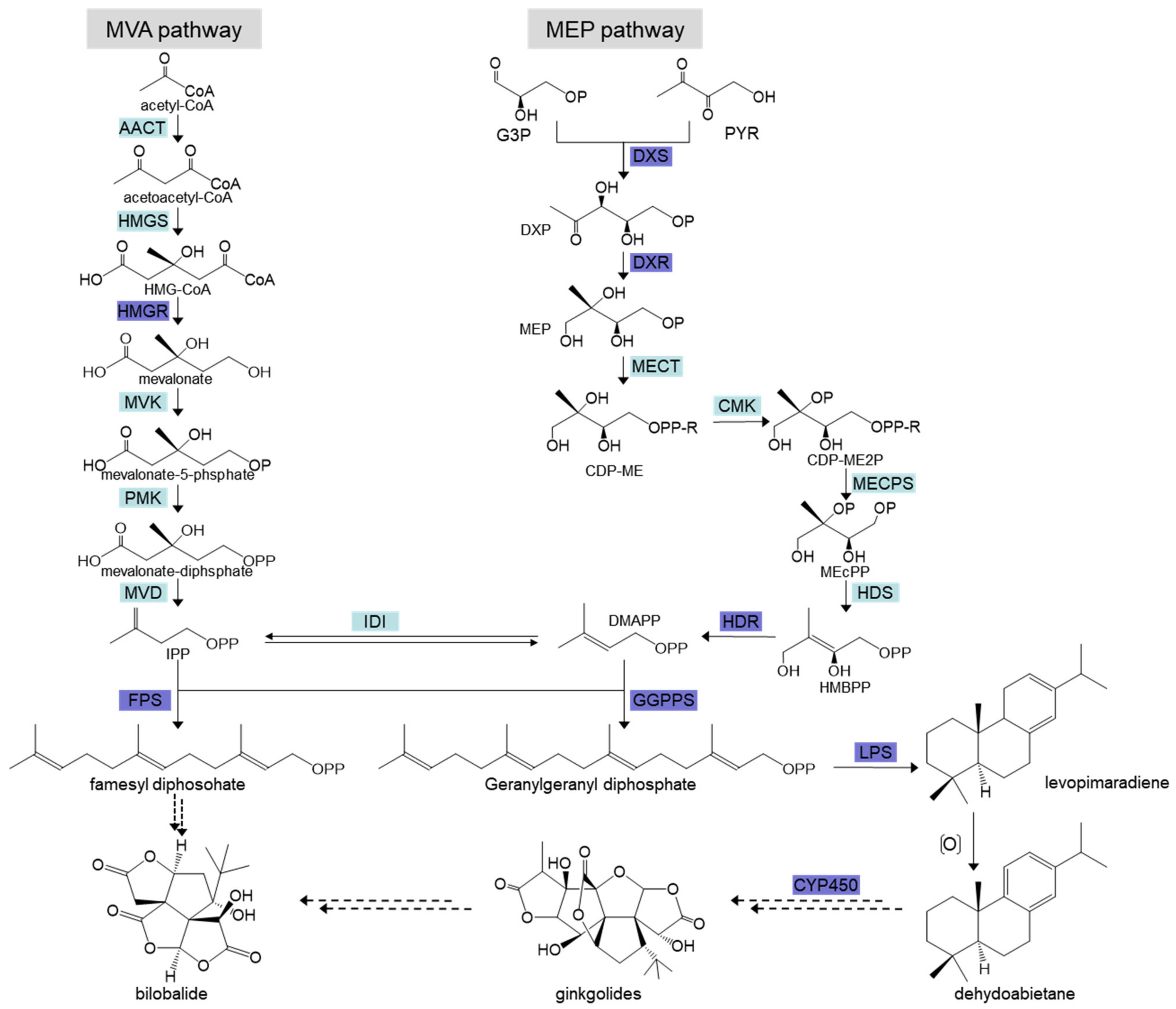 Molecules 27 07548 g001