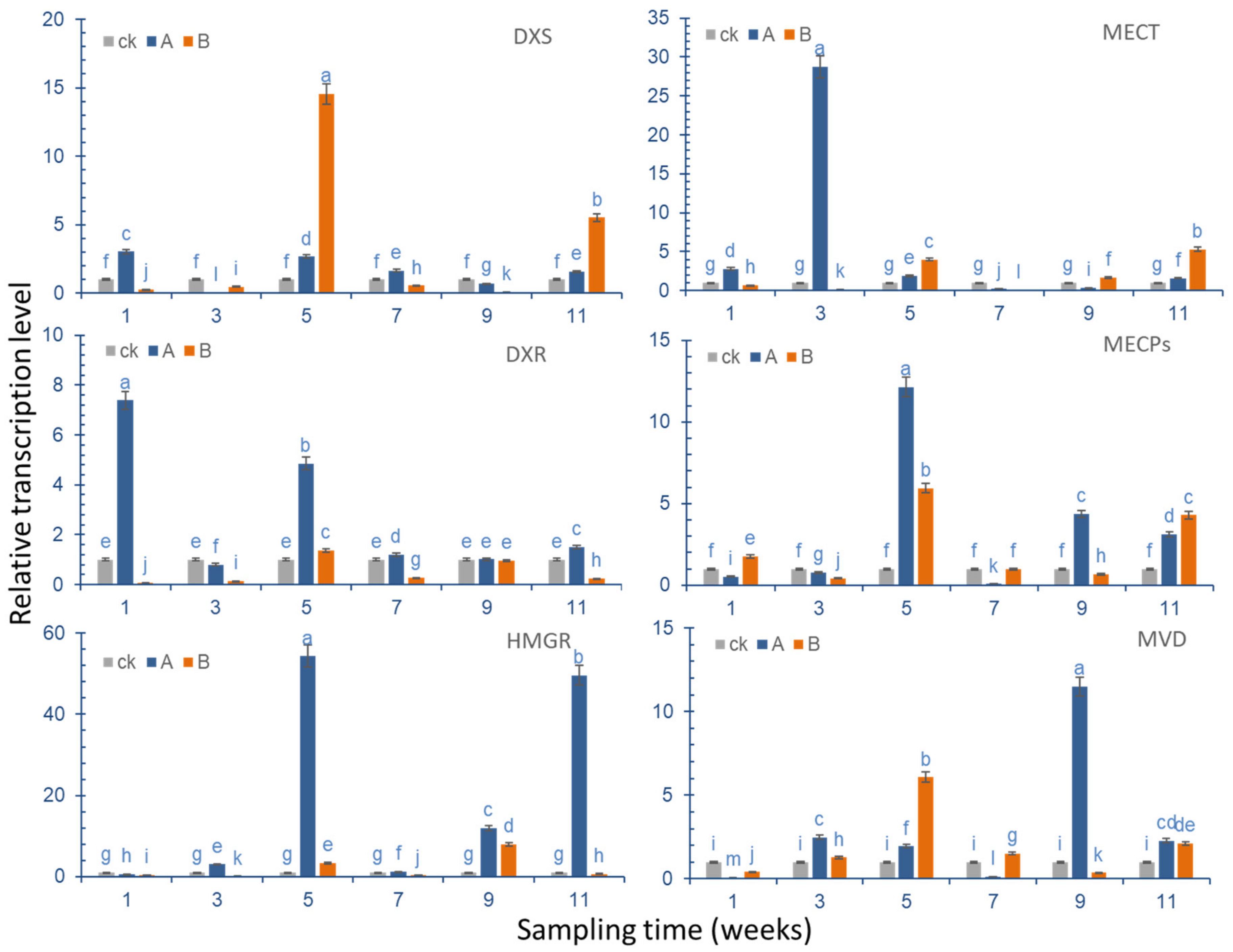Molecules 27 07548 g009