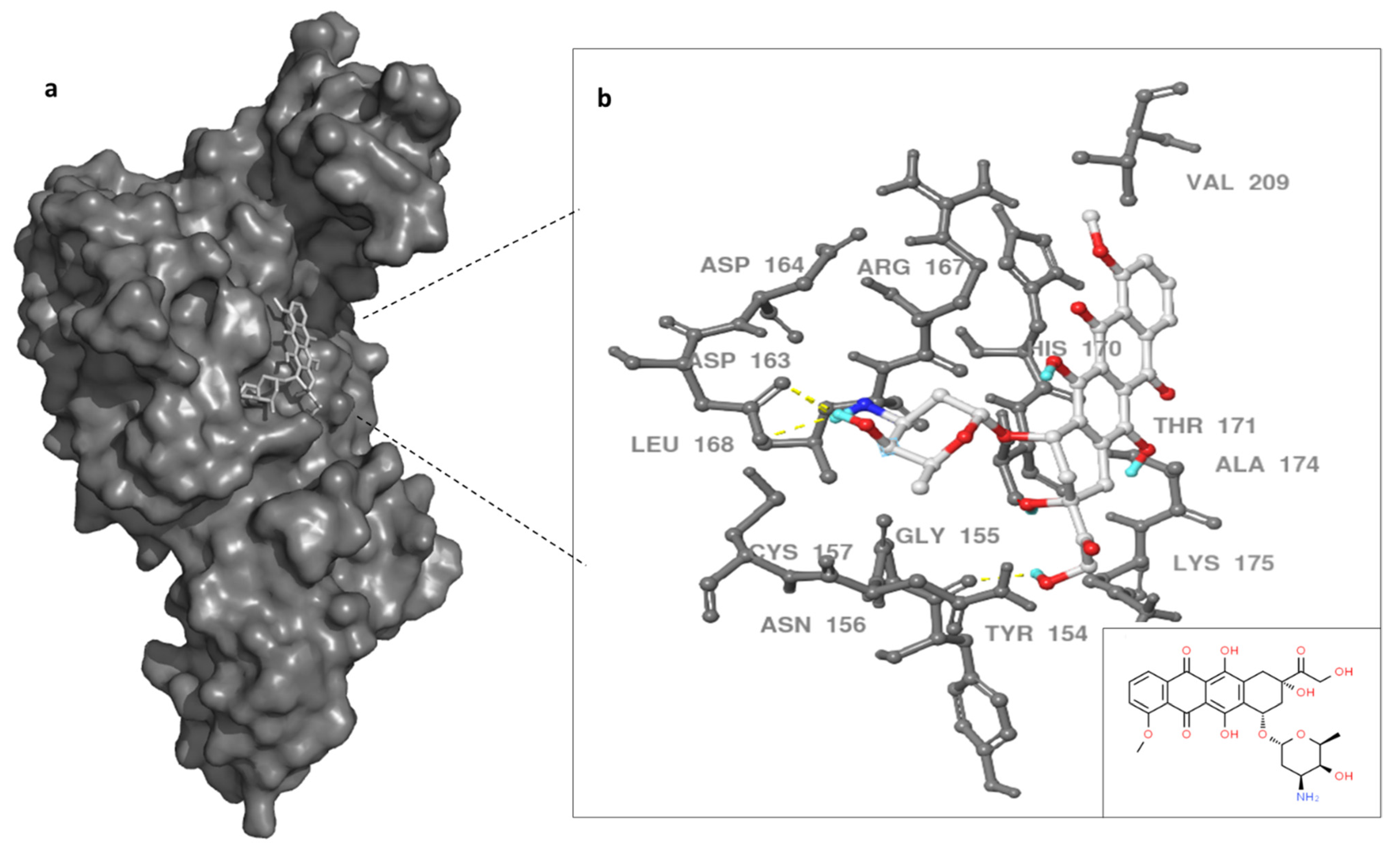 Molecules 27 07553 g004 Molecules 27 07553 g004