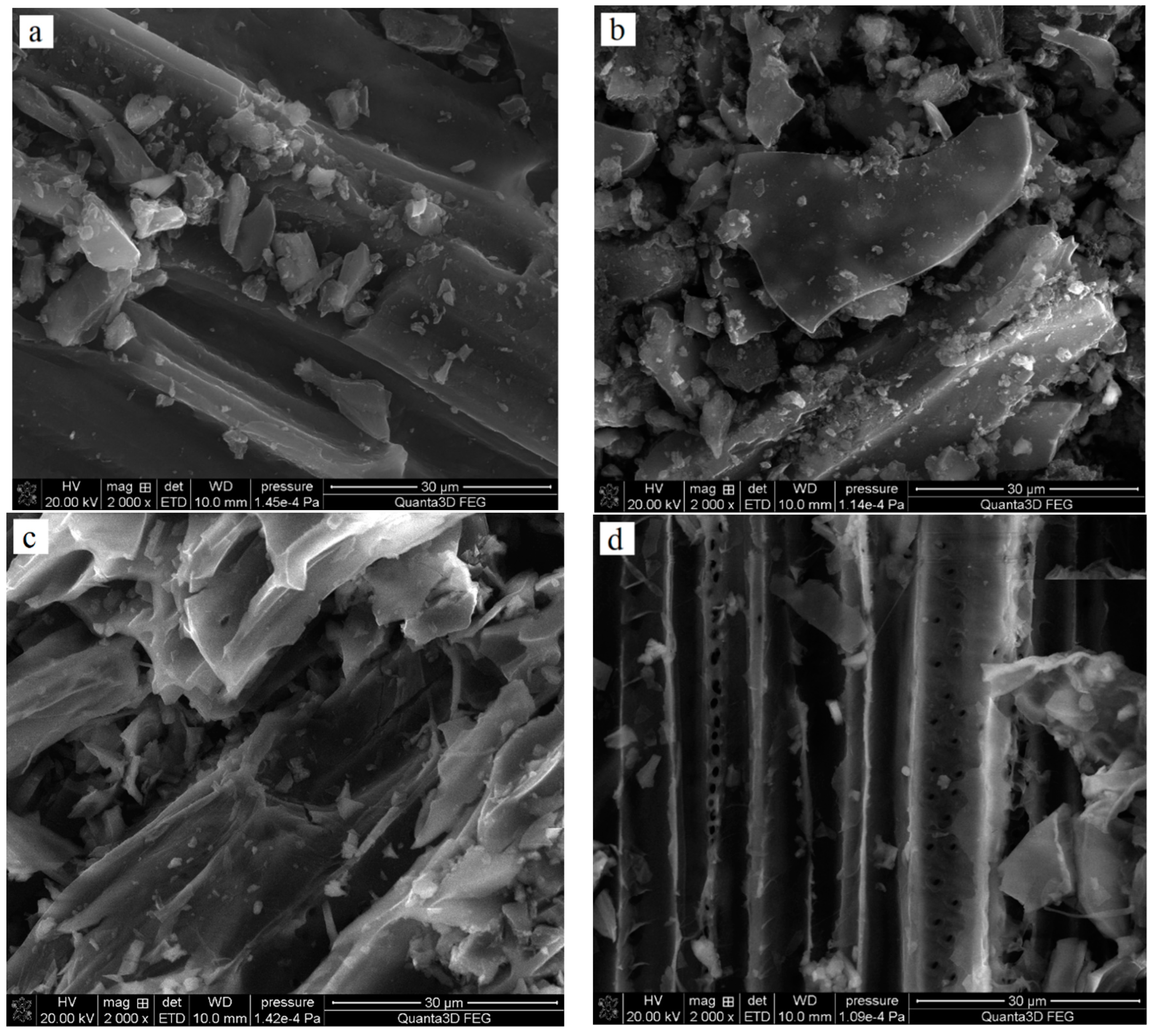 Molecules 27 07557 g001 Molecules 27 07557 g001