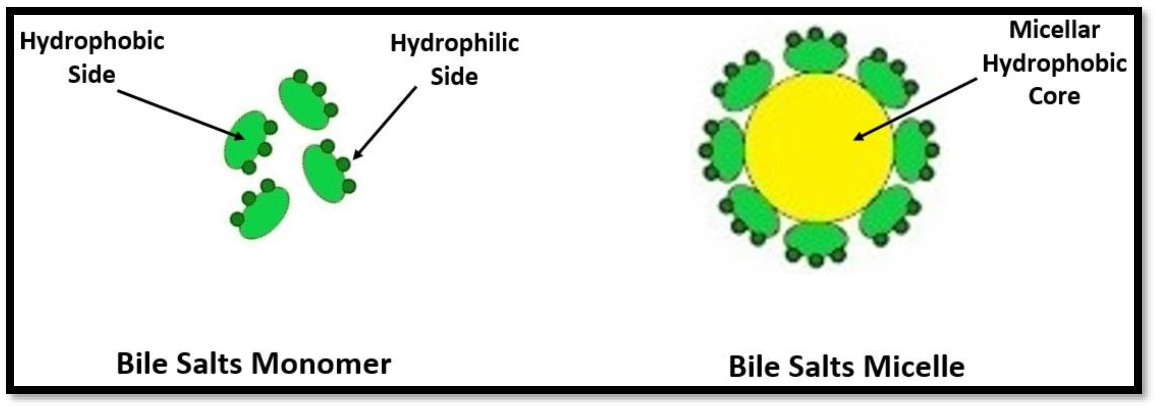 Molecules Free FullText Conductometric and Fluorescence Probe