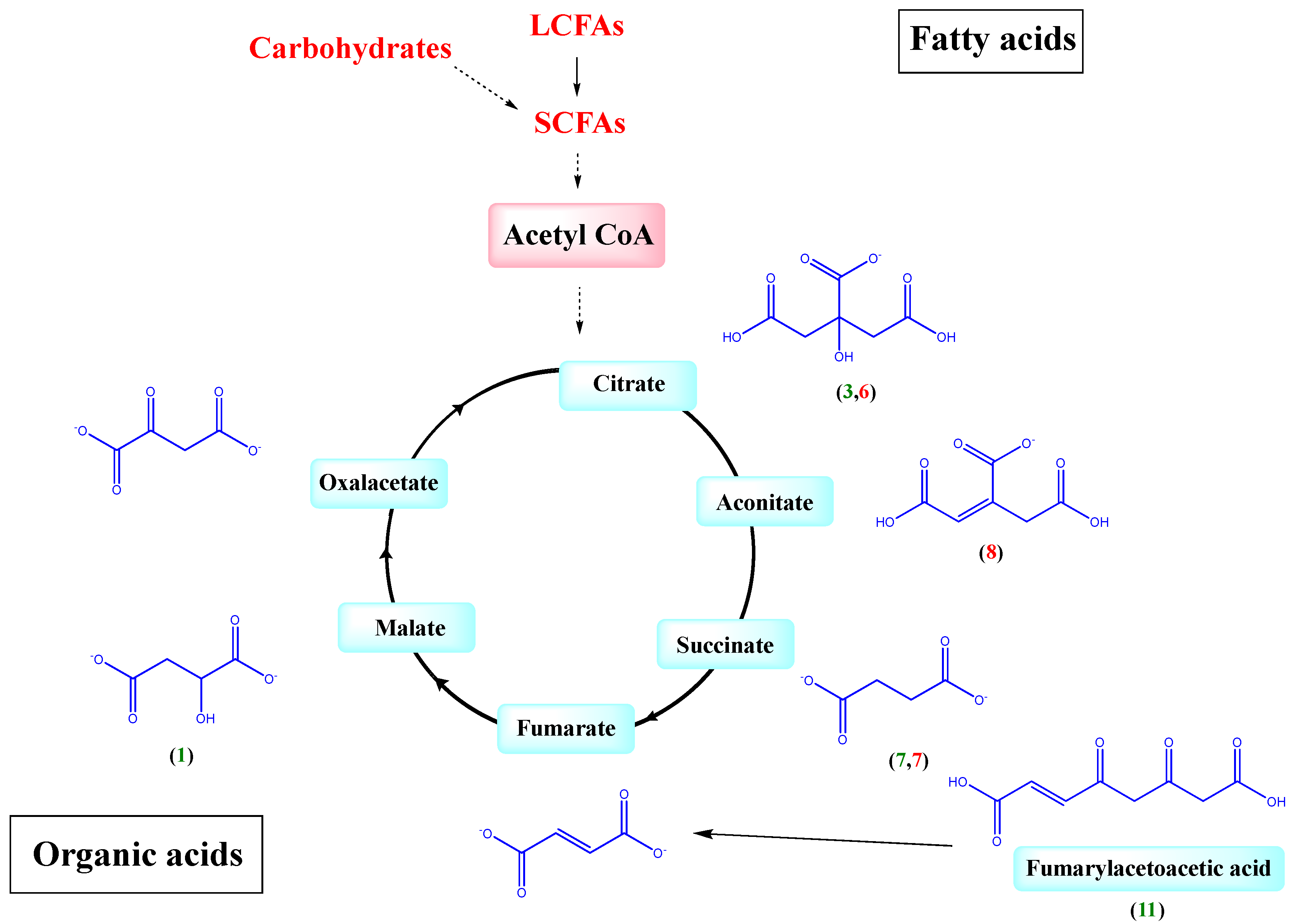 Molecules 27 07568 g004