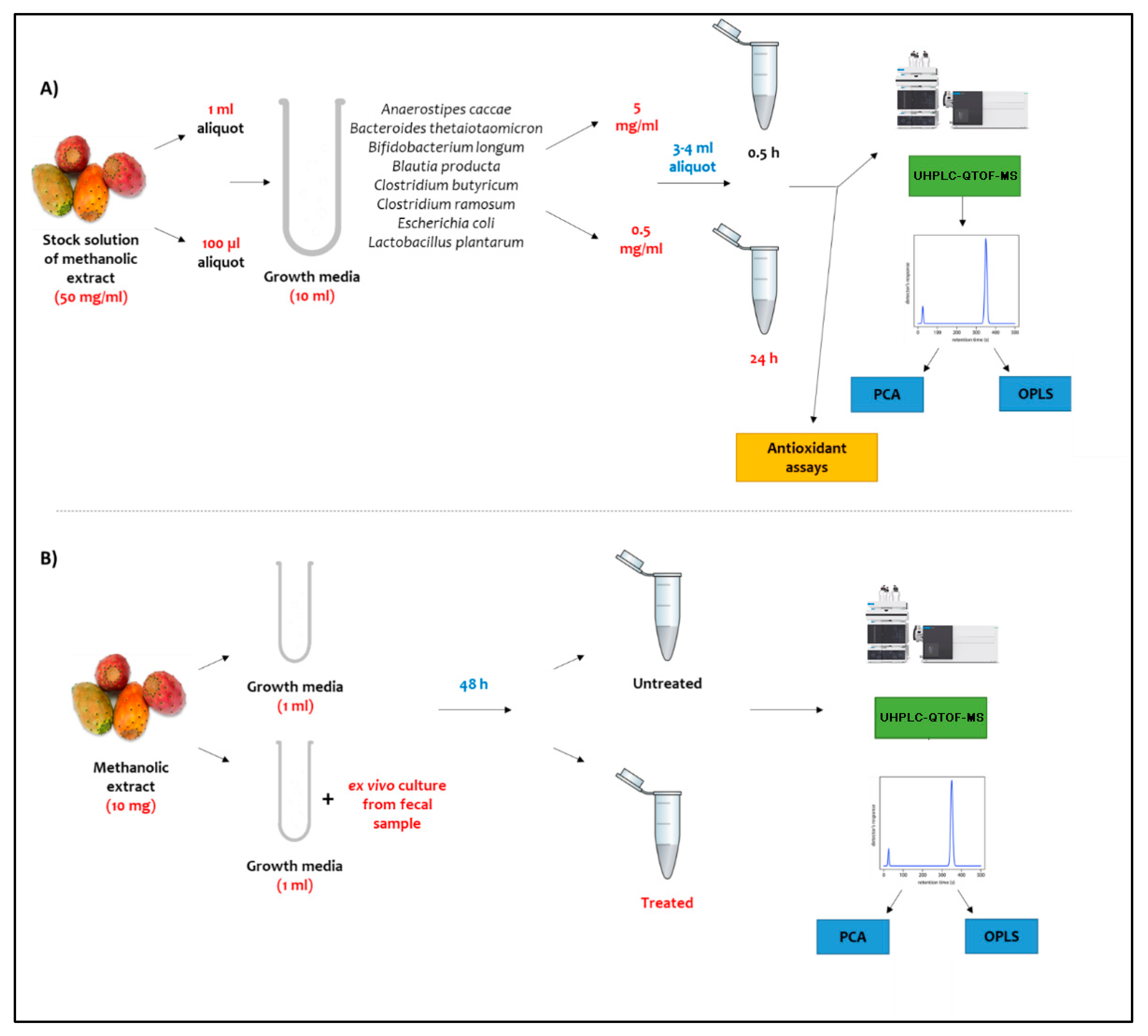 Molecules 27 07568 g006