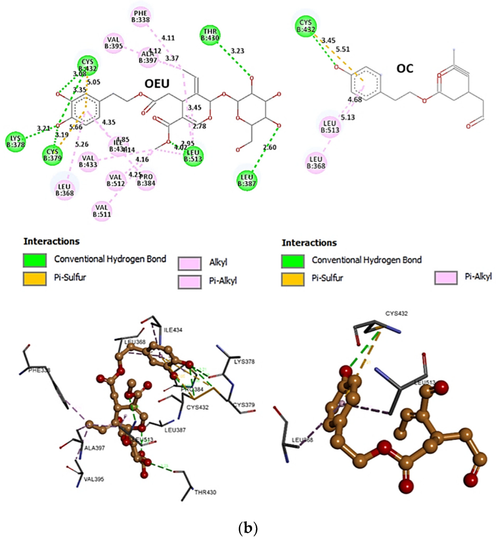 Molecules 27 07572 g004b Molecules 27 07572 g004b