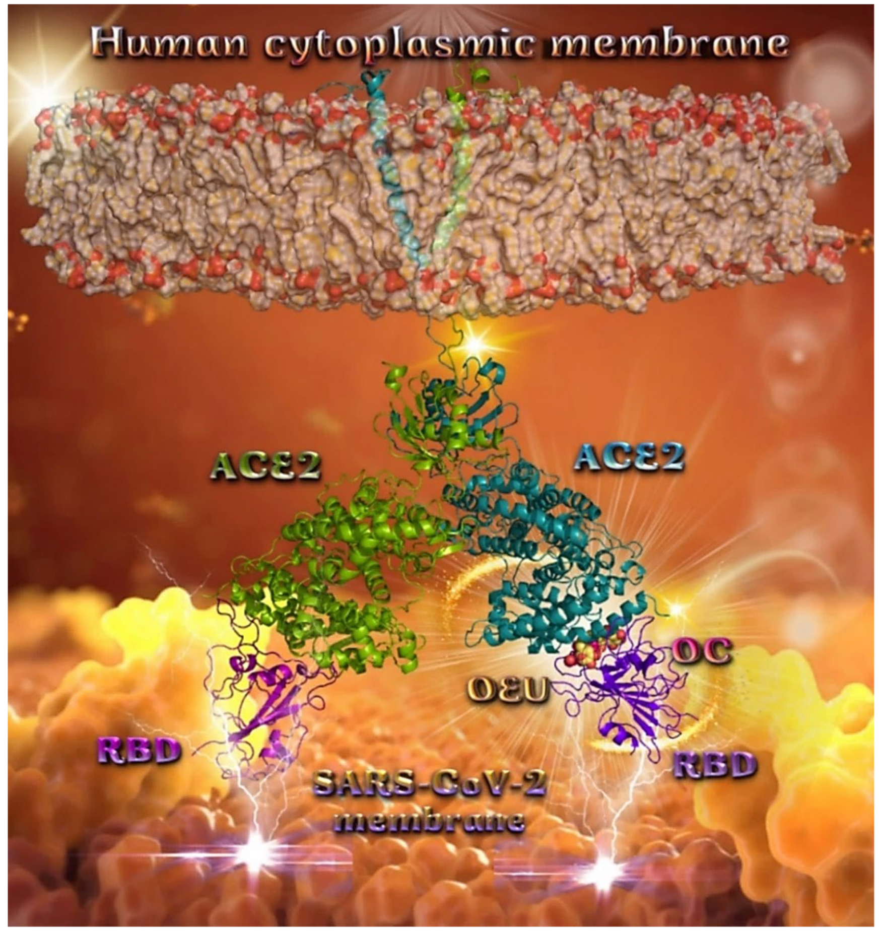 Molecules 27 07572 g011 Molecules 27 07572 g011