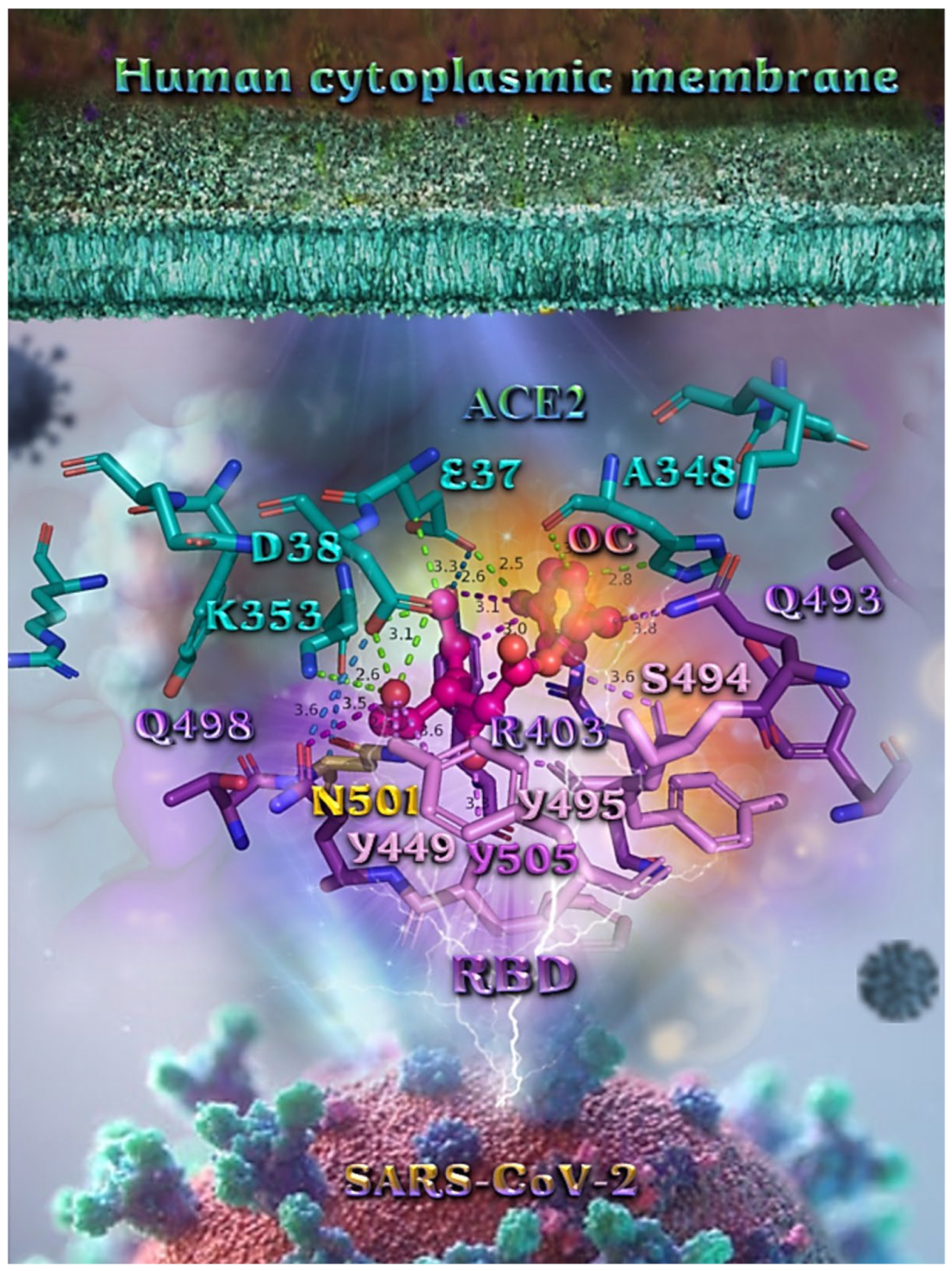 Molecules 27 07572 g012 Molecules 27 07572 g012