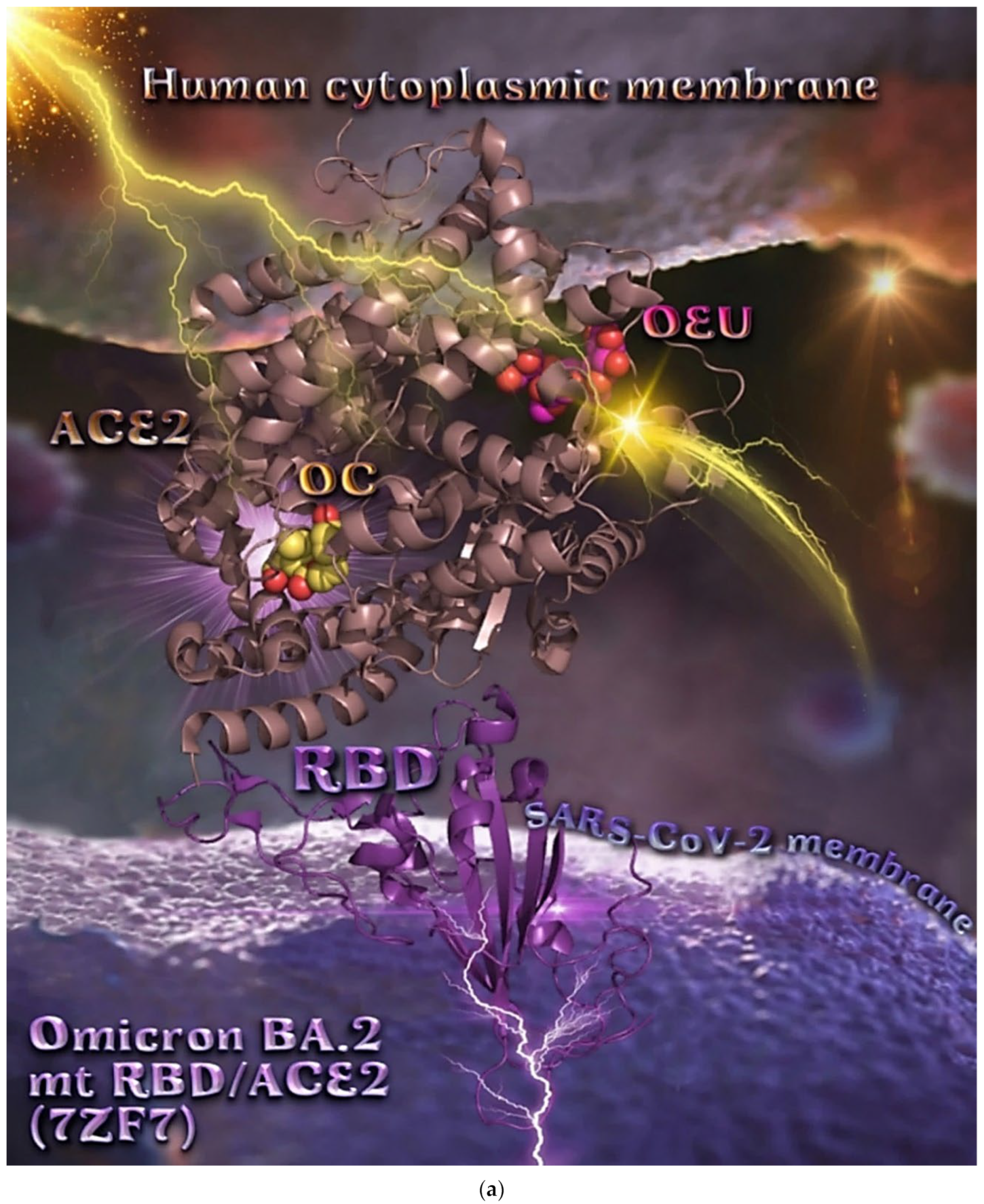 Molecules 27 07572 g017a Molecules 27 07572 g017a
