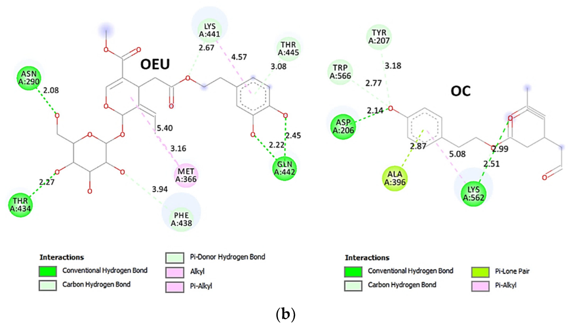 Molecules 27 07572 g017b Molecules 27 07572 g017b