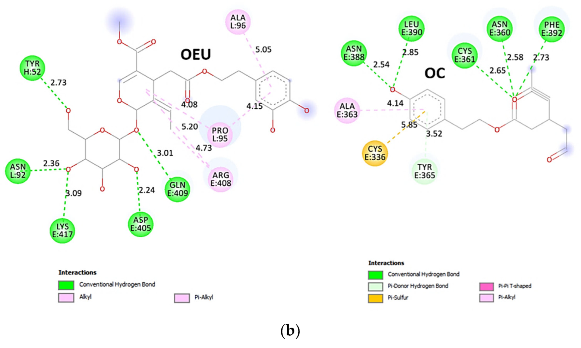 Molecules 27 07572 g019b Molecules 27 07572 g019b