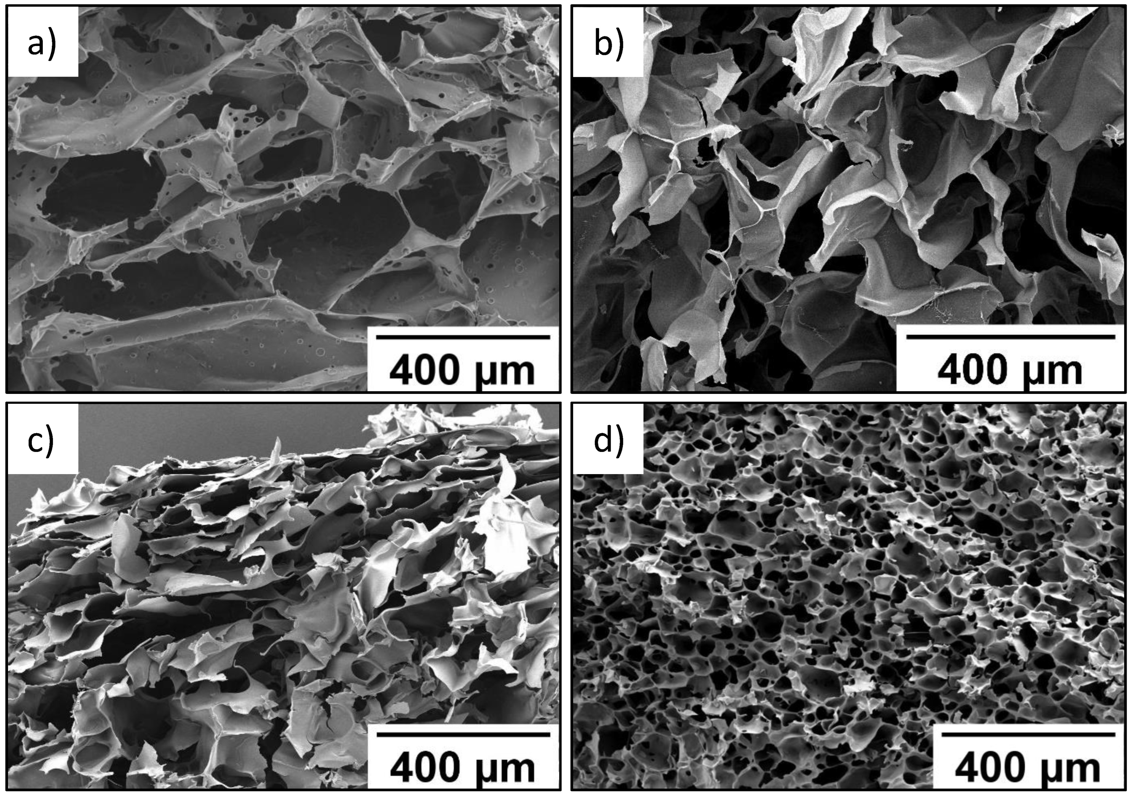 Molecules 27 07576 g001 Molecules 27 07576 g001