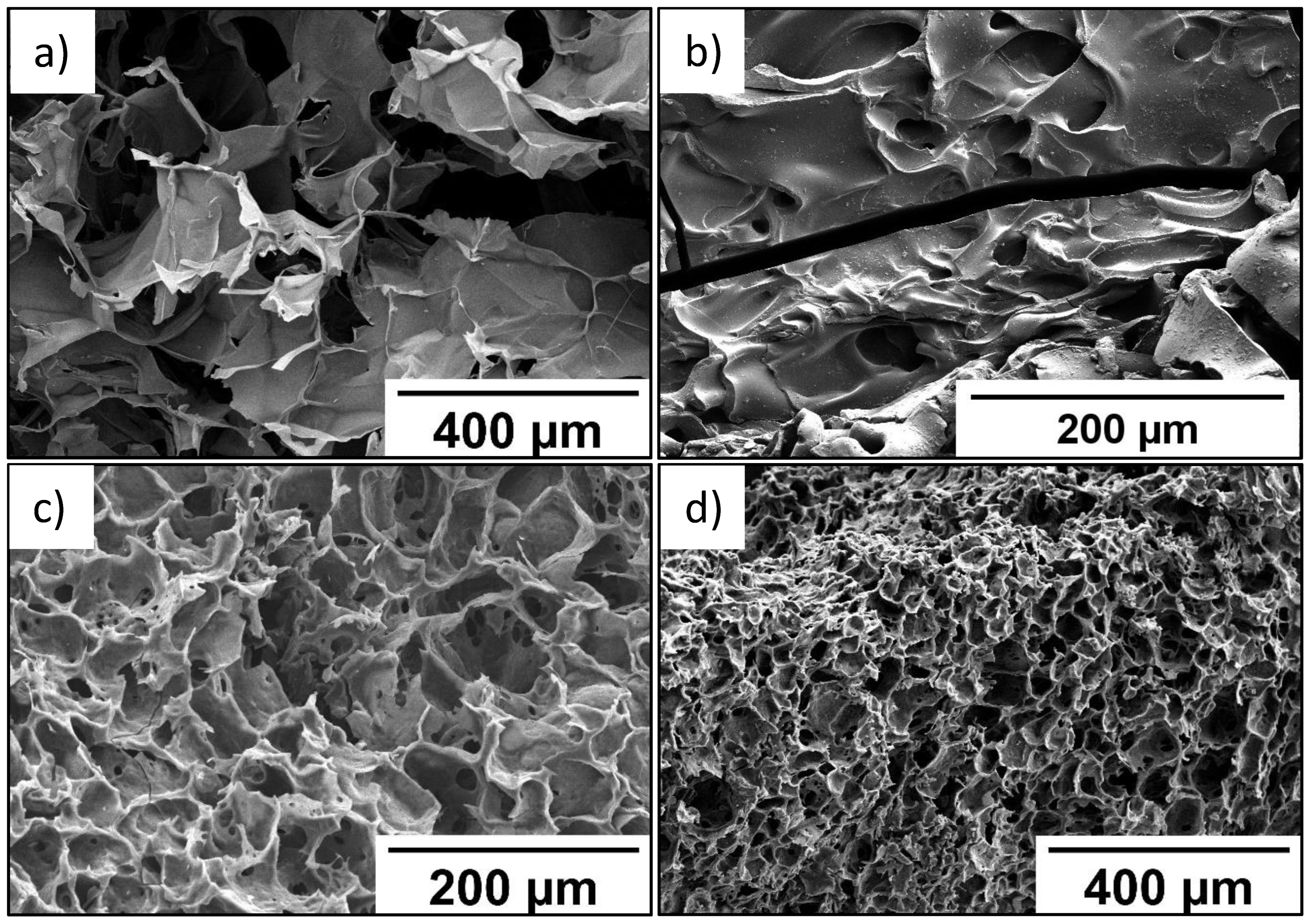 Molecules 27 07576 g005 Molecules 27 07576 g005