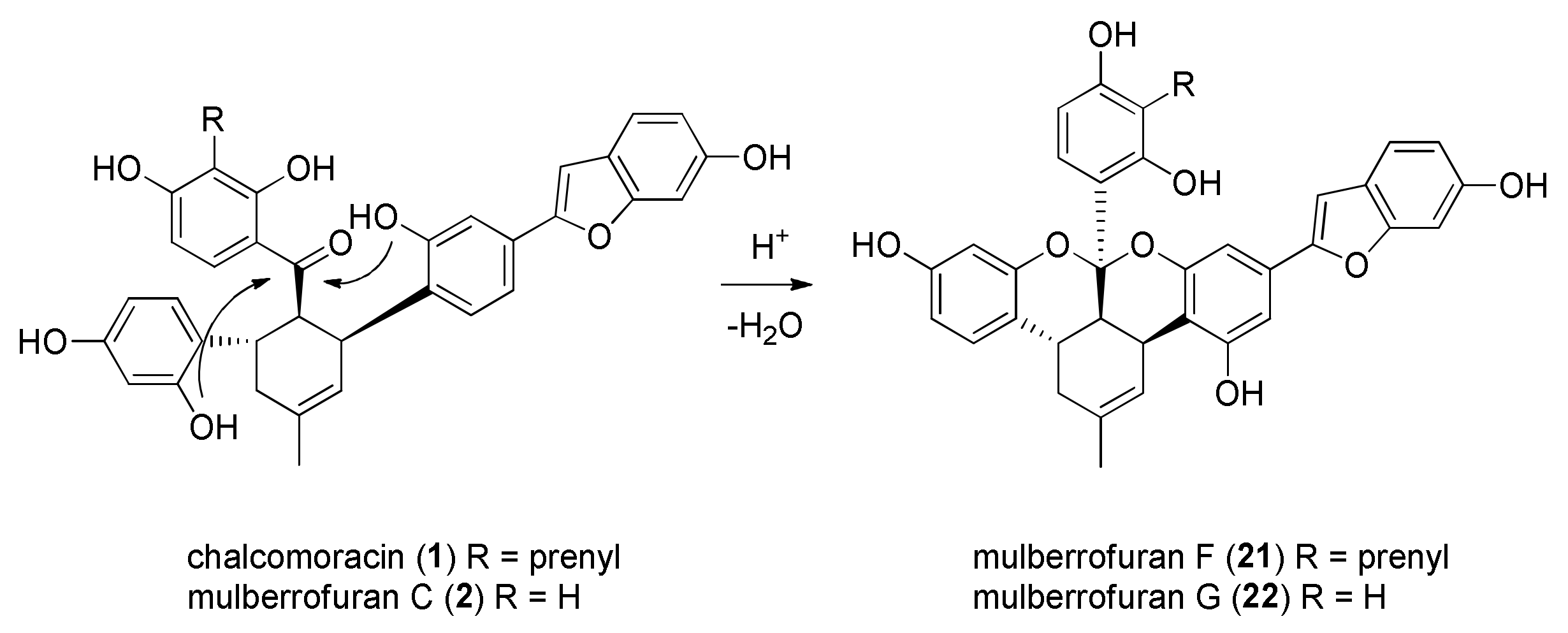 Molecules 27 07580 g002 Molecules 27 07580 g002