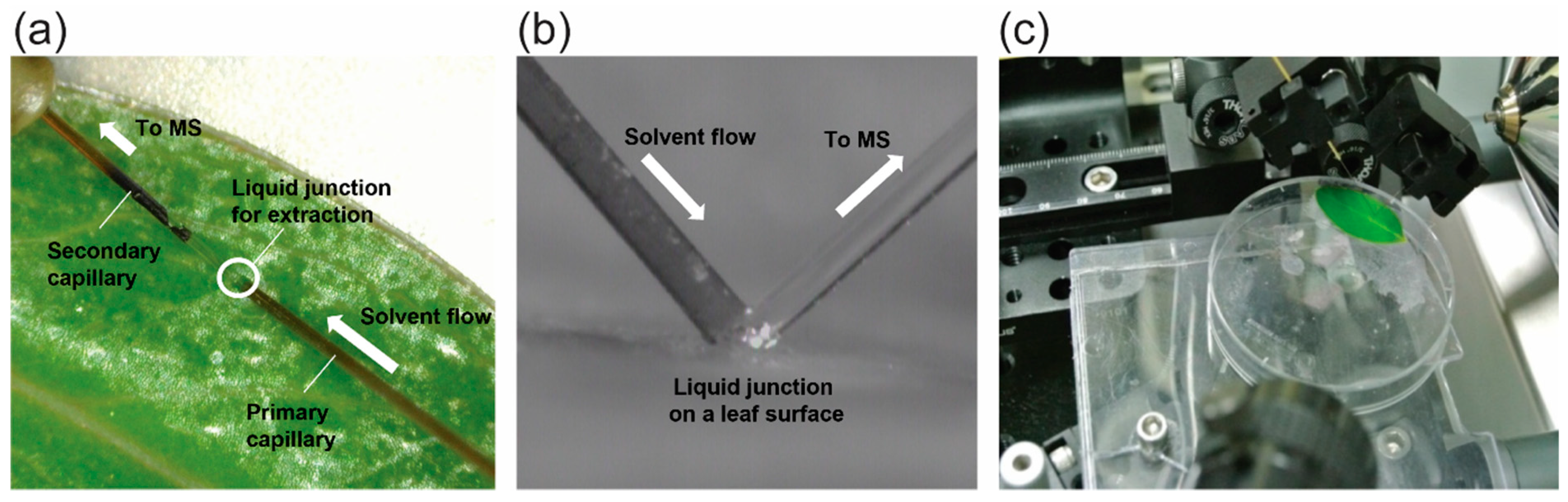 Molecules 27 07582 g001 Molecules 27 07582 g001