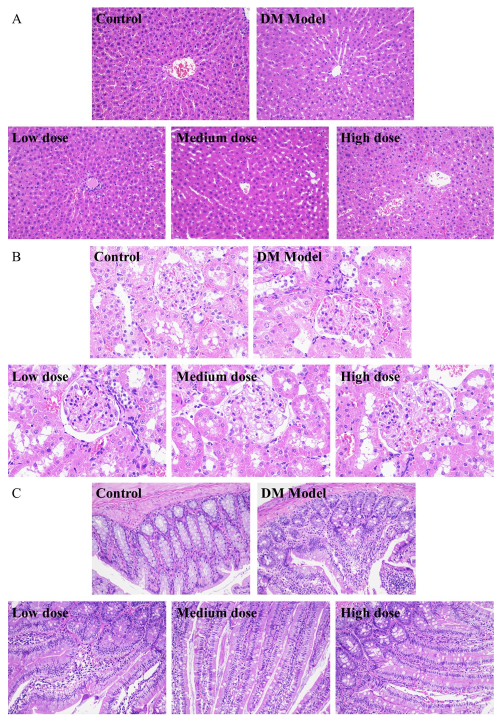 Molecules 27 07583 g005 Molecules 27 07583 g005