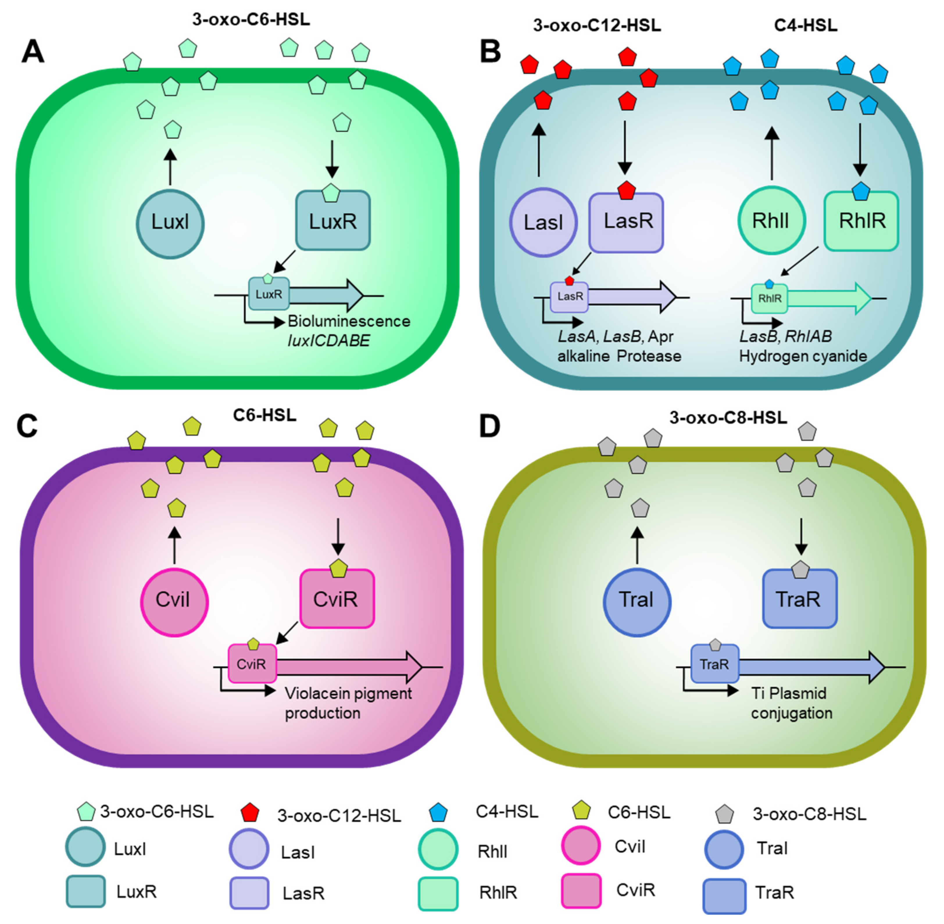 Molecules 27 07584 g001 Molecules 27 07584 g001