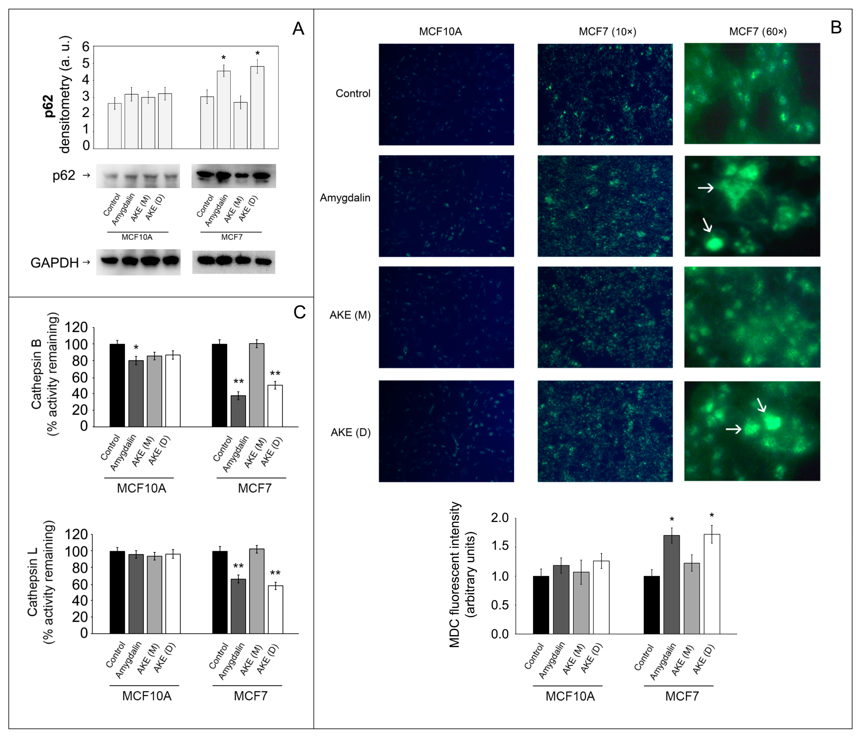 Molecules 27 07591 g005 Molecules 27 07591 g005