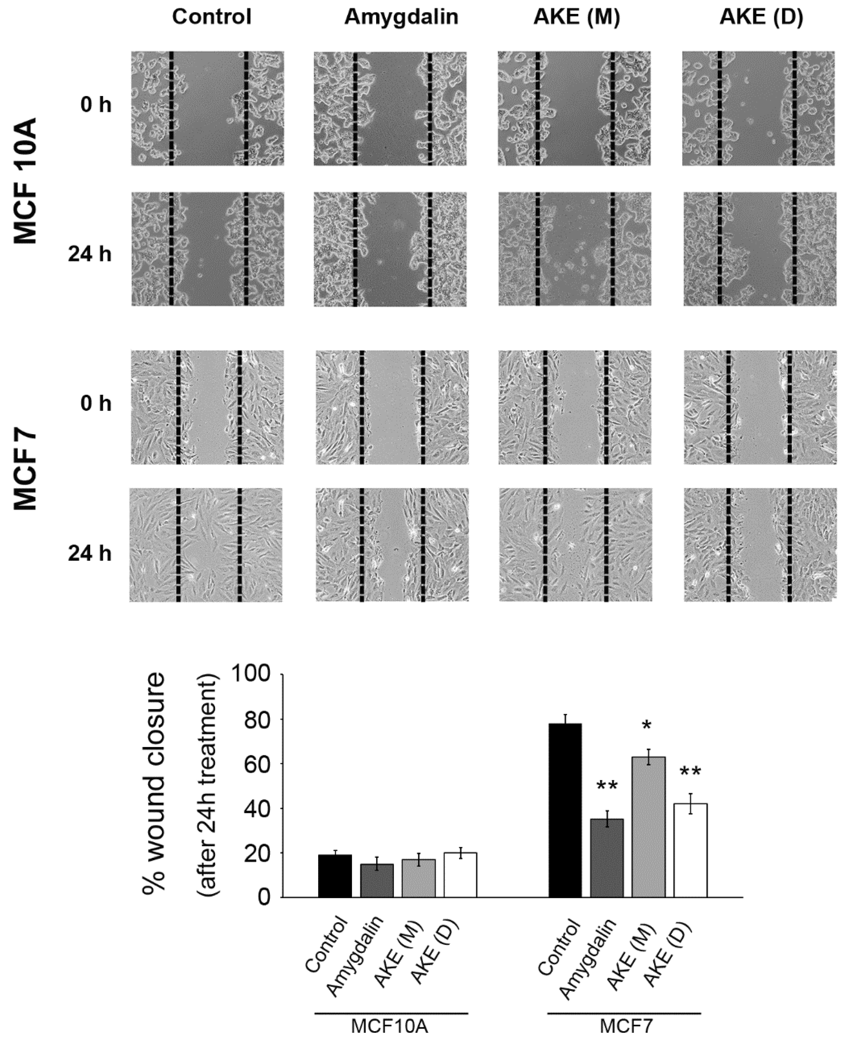 Molecules 27 07591 g008 Molecules 27 07591 g008